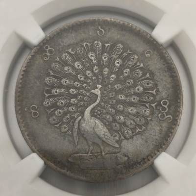 老蟹的宝藏🏴‍☠️ III - NGC XF45 缅甸1852年1 KYAT 孔雀银币
