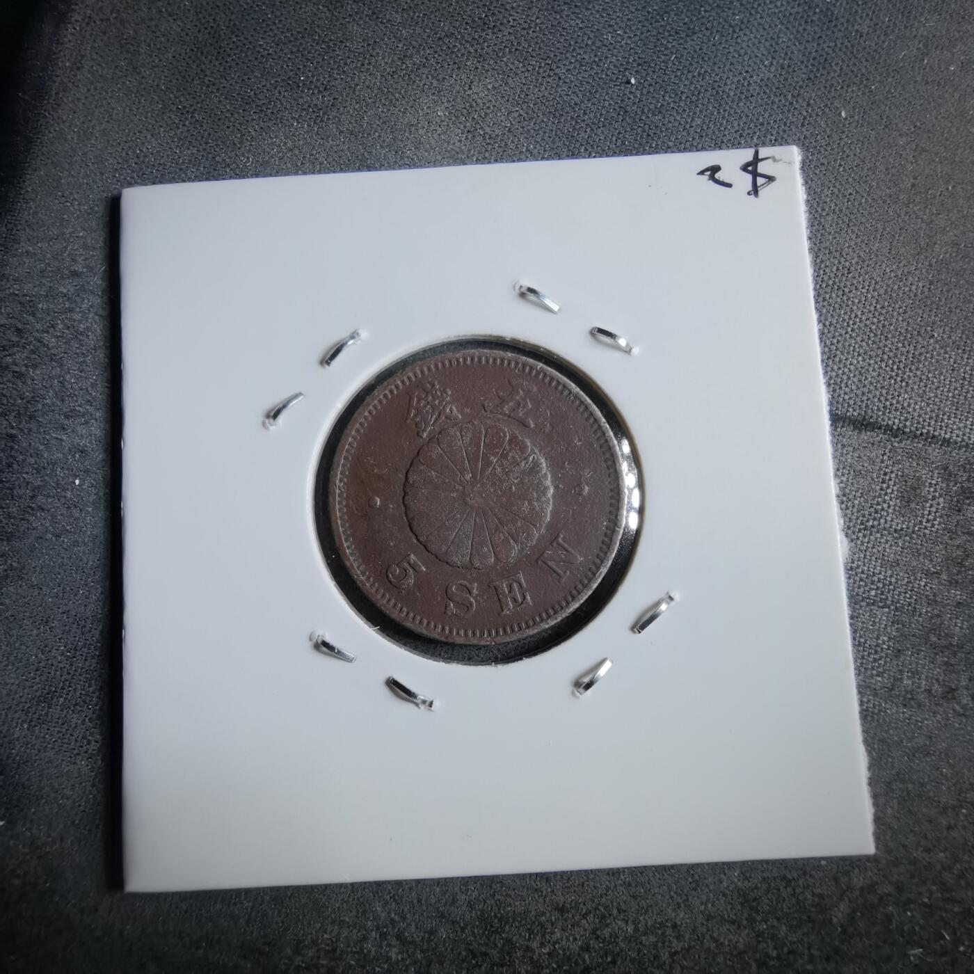 沼泽如烟--第891场