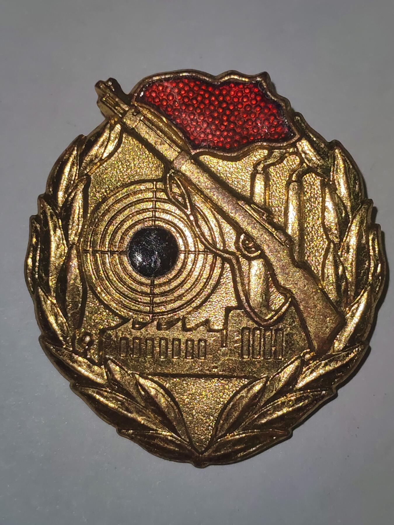 韵星假日拍卖第三十期 -- Rimey Holidays Auction 30 民主德国金级工战队射击技能证章