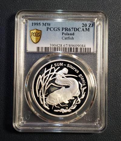 世界各国银币章专场（第23场） - 1995波兰动物～欧洲鲶鱼20兹罗提精制银币