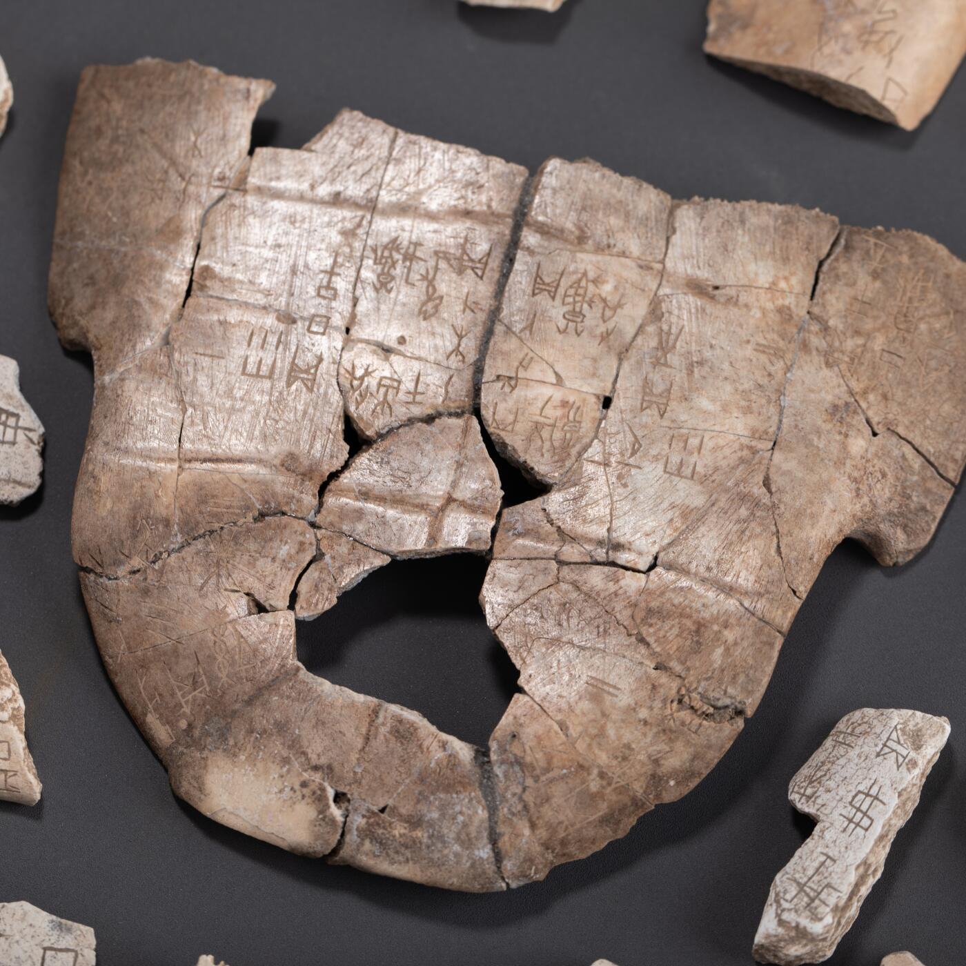 日本大阪雅和auction 2025金秋競賣會第一期 甲骨文 一組86點 尺寸:尺寸不一 備註:木箱