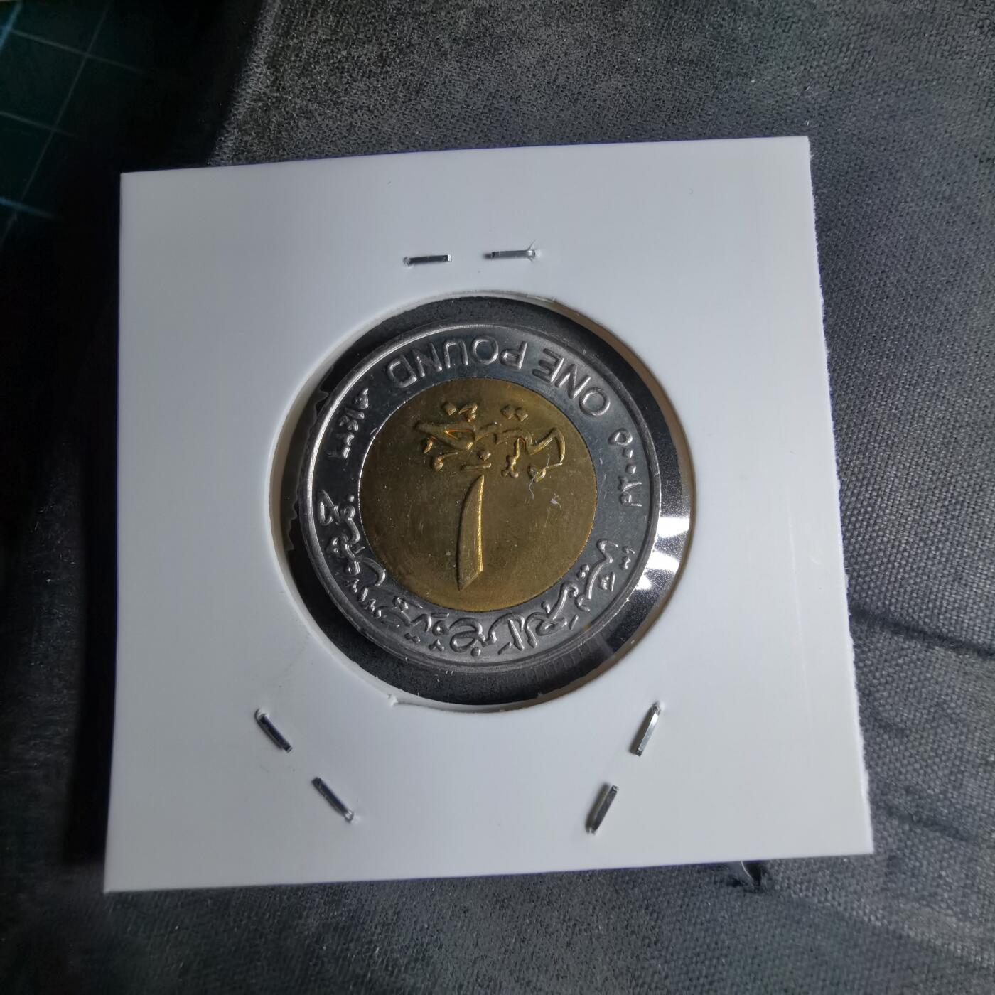 沼泽如烟--第890场 埃及