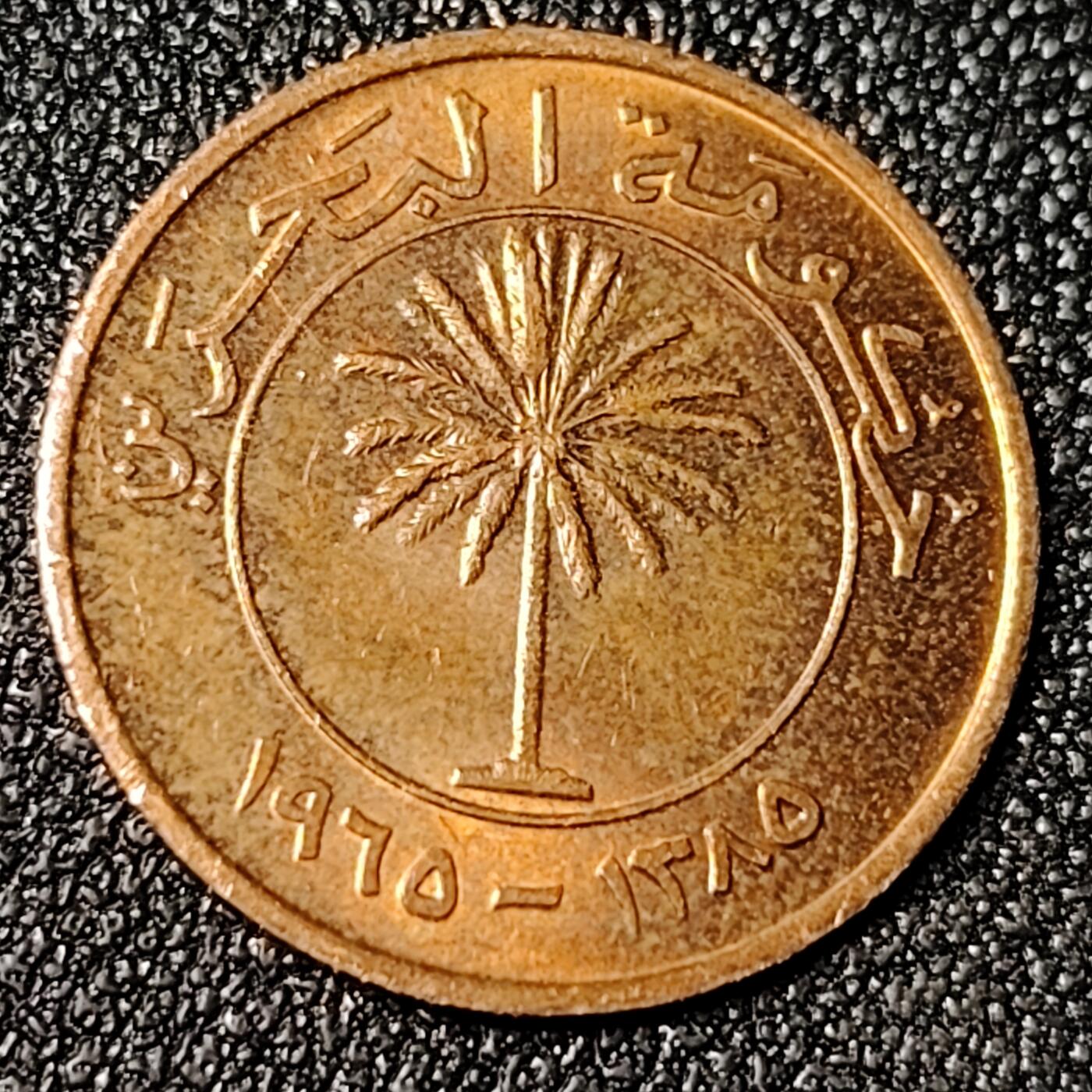 泉币菌-第124场-精品福利场(115场之后的本周末发货，感谢理解) 原光美品 巴林5费尔硬币 18mm 椰树 