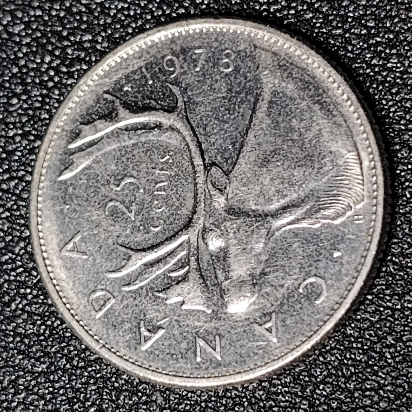 泉币菌-第124场-精品福利场(115场之后的本周末发货，感谢理解) 。