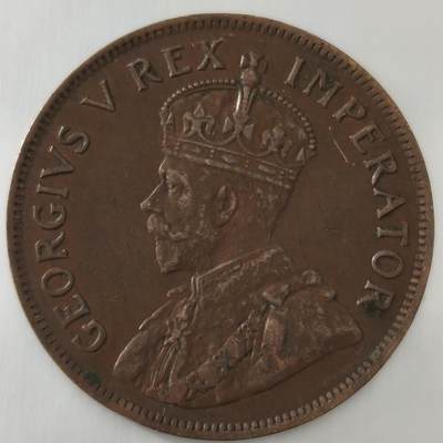 老蟹的宝藏🏴‍☠️ III - 南非乔治五世1929年1便士