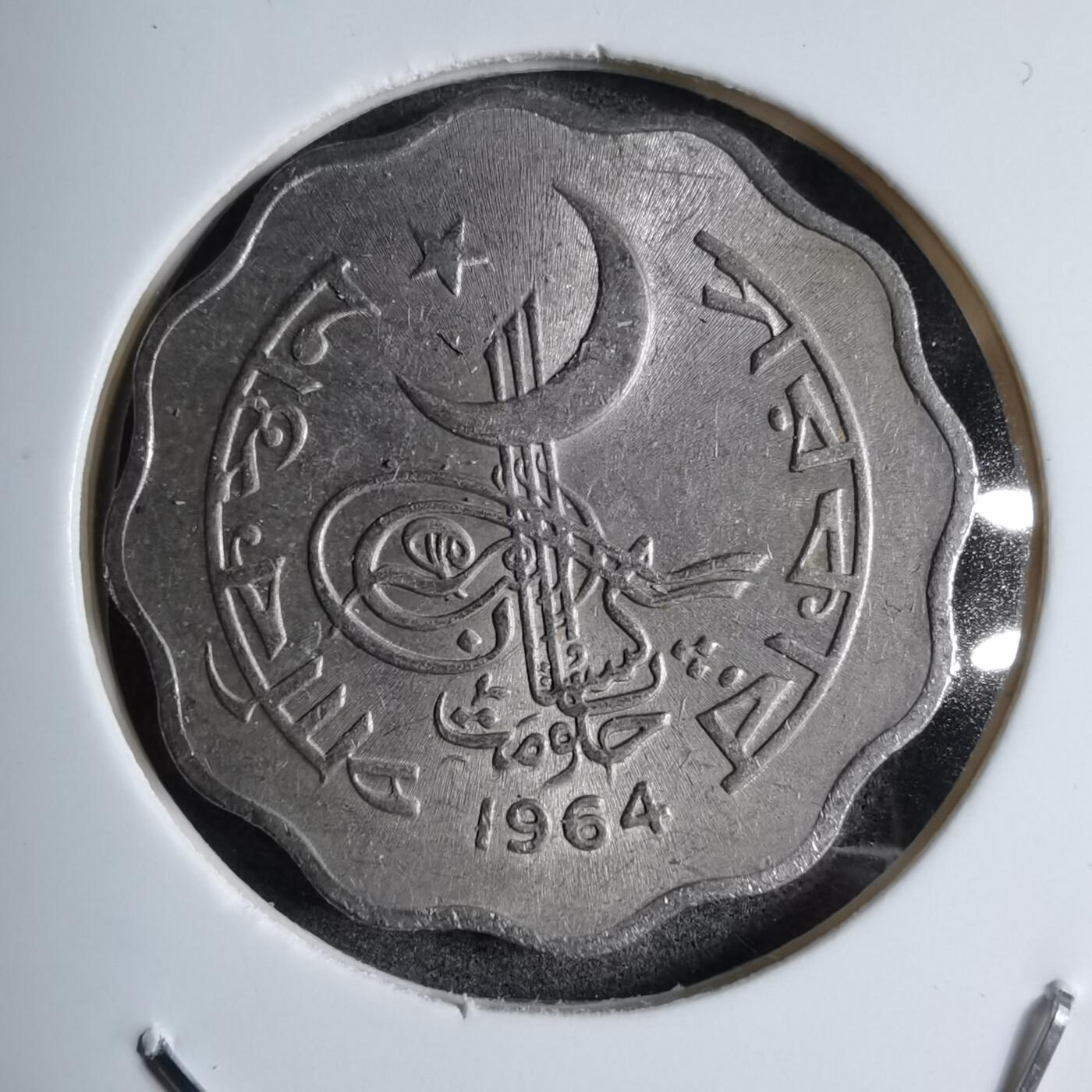 沼泽如烟--第890场