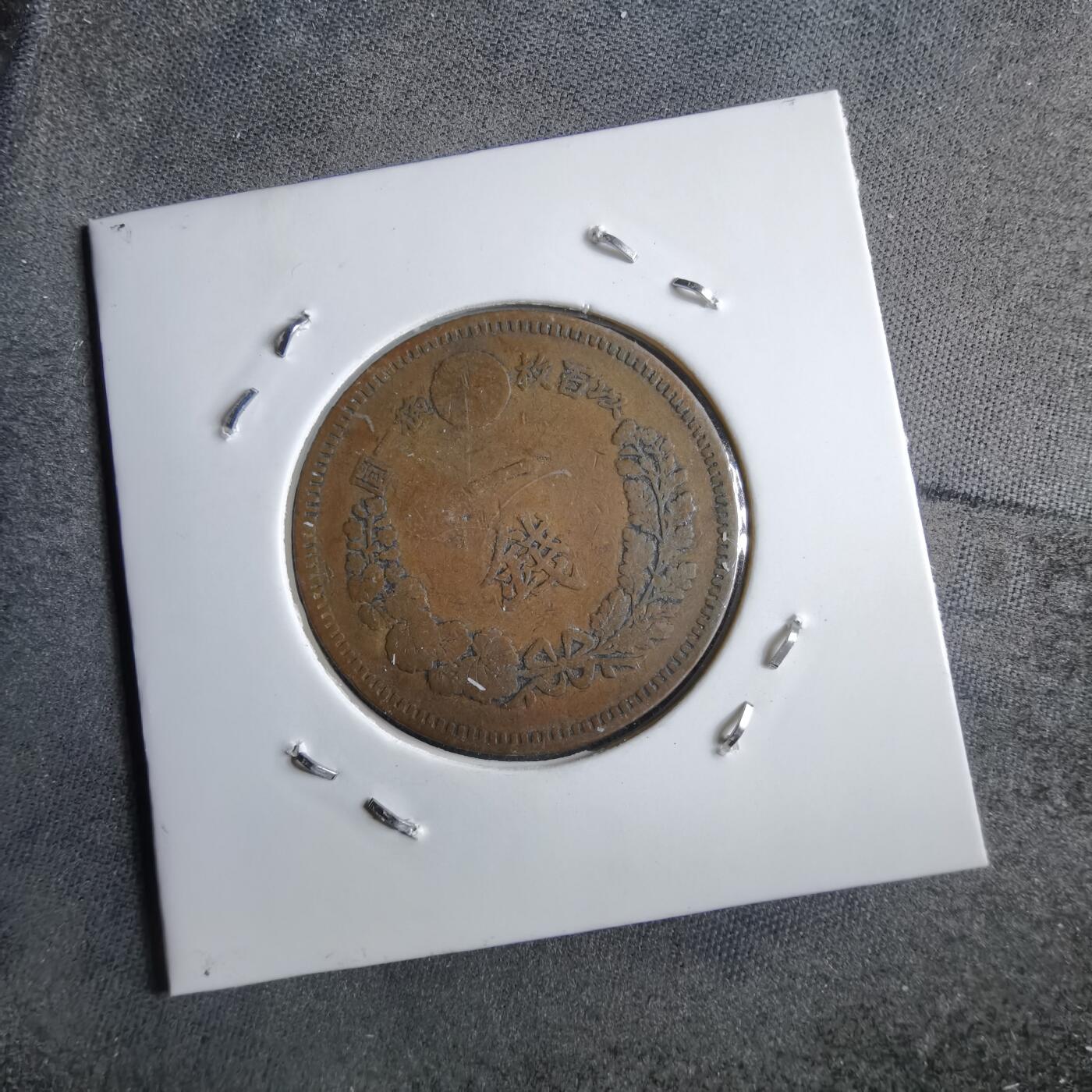 沼泽如烟--第891场