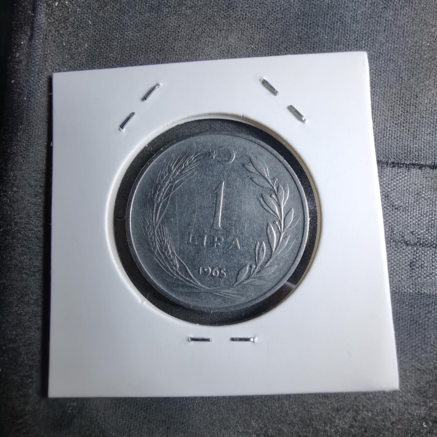 沼泽如烟--第890场