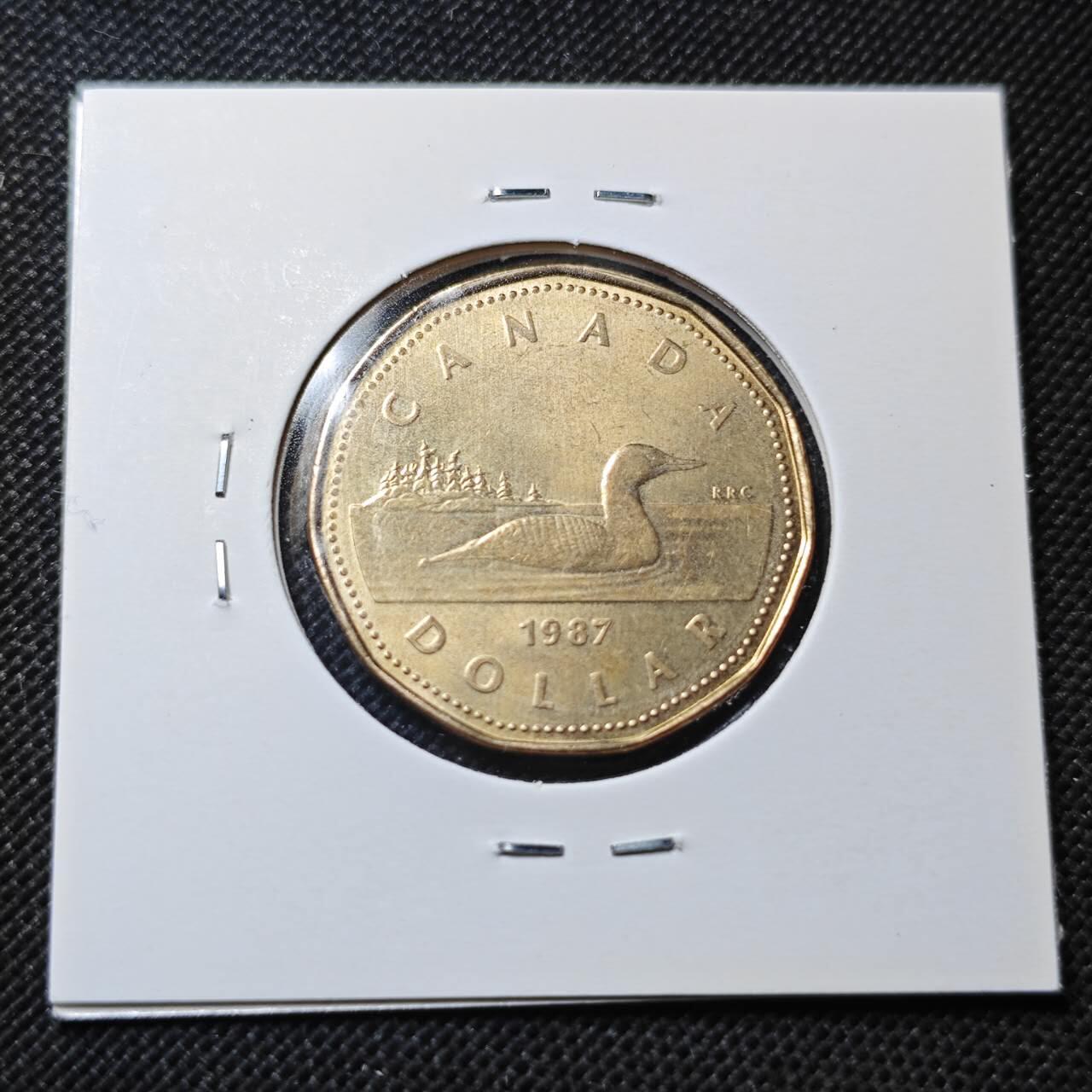 KK钱币收藏小铺  第364场  2月预留时间 周末发货  加拿大1元 好品