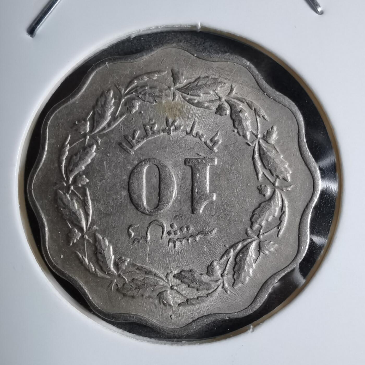 沼泽如烟--第890场