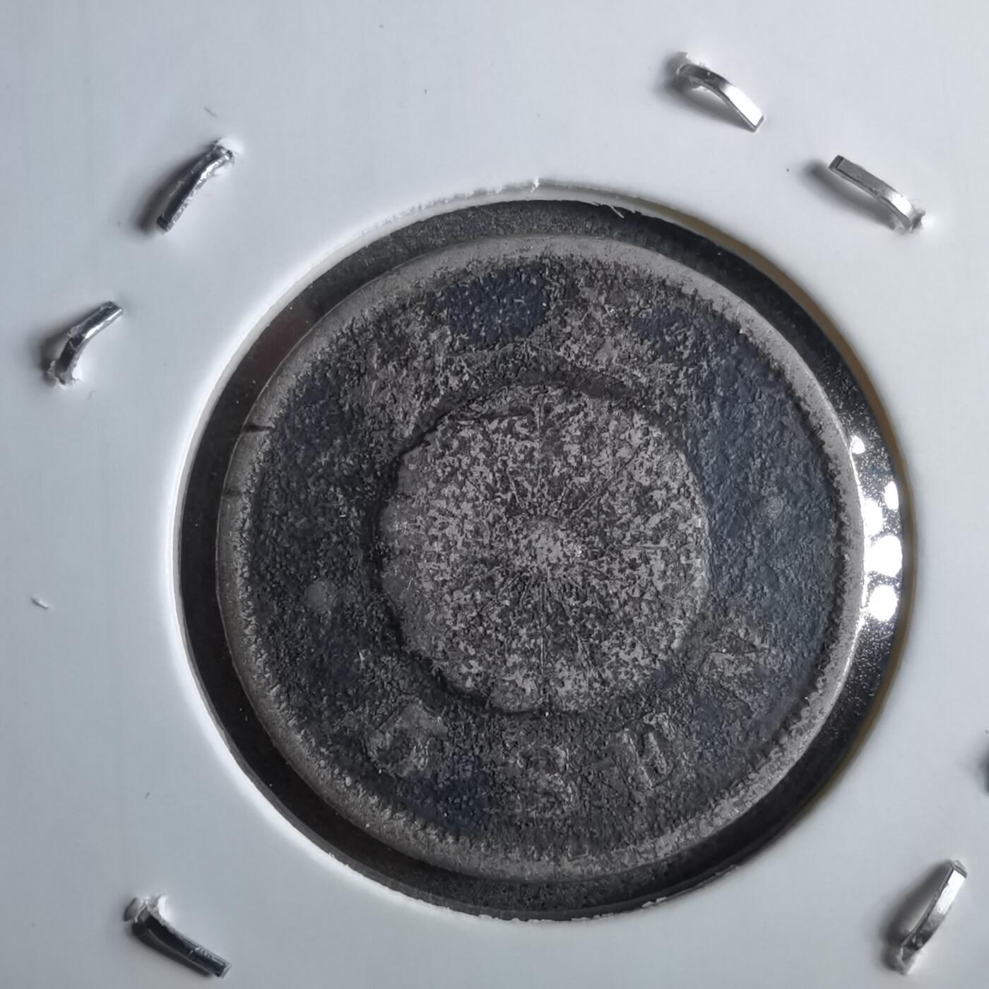 沼泽如烟--第891场