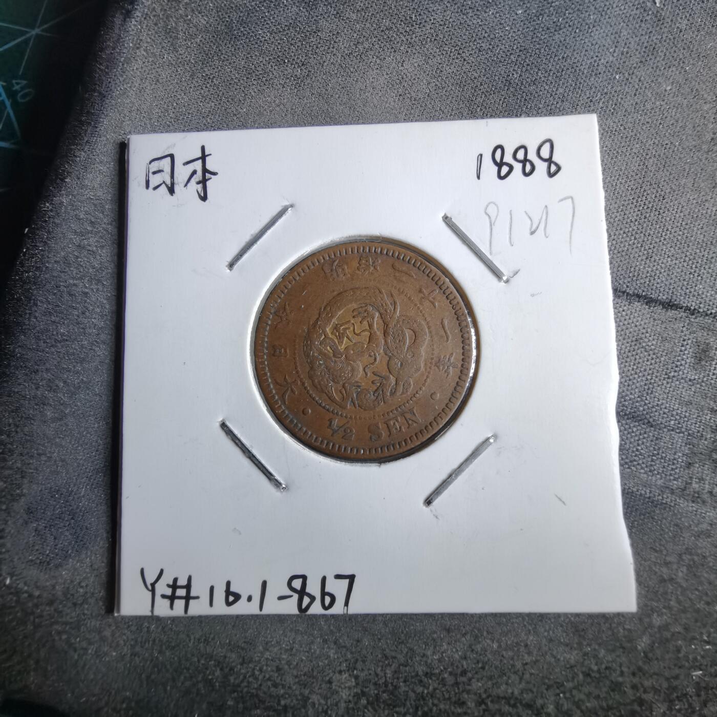 沼泽如烟--第891场