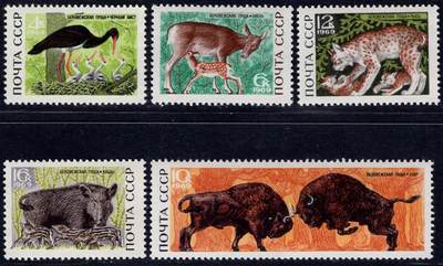 洪涛臻品批发群 精选邮票限时拍卖第1155期  - 苏联 林区动物5全套 黑罐鹿野猪猞猁野牛  新票如图原胶润亮 1969年精美大票