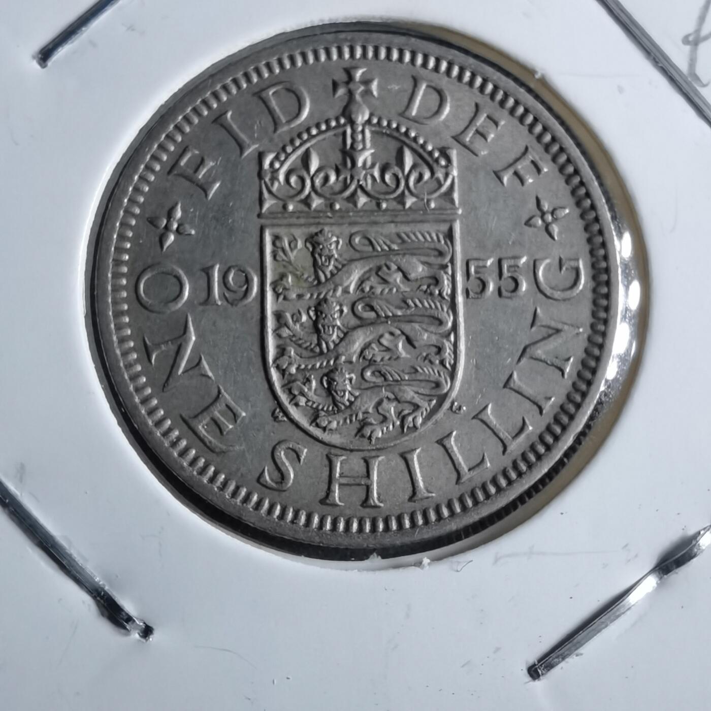 沼泽如烟--第891场