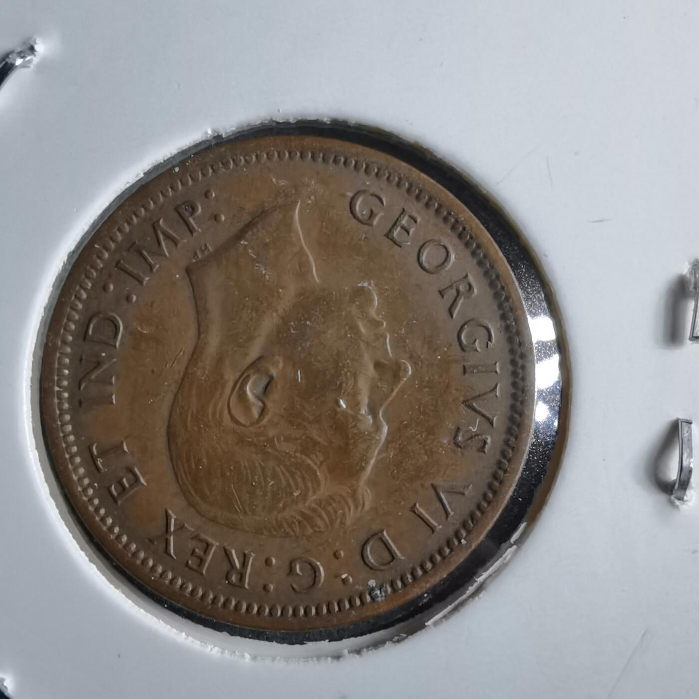 沼泽如烟--第891场