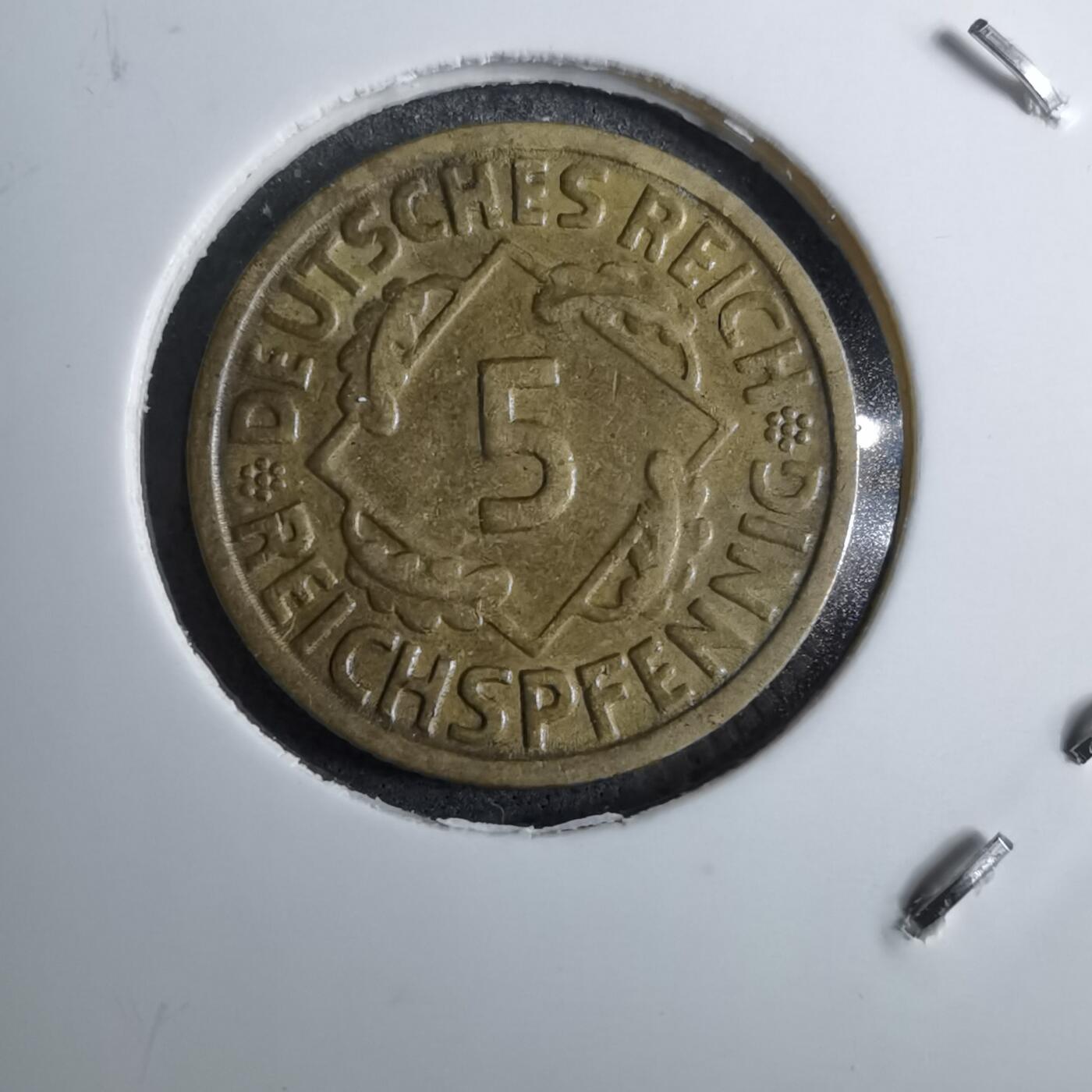 沼泽如烟--第891场