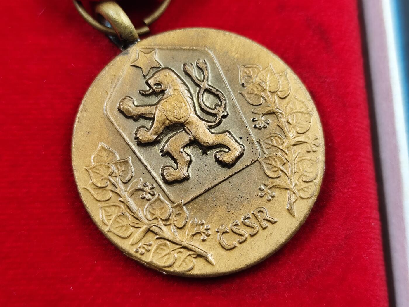 11月徽章新货项目 接下来都是精品场 欢迎关注 比较少见的捷克奖章 双略章