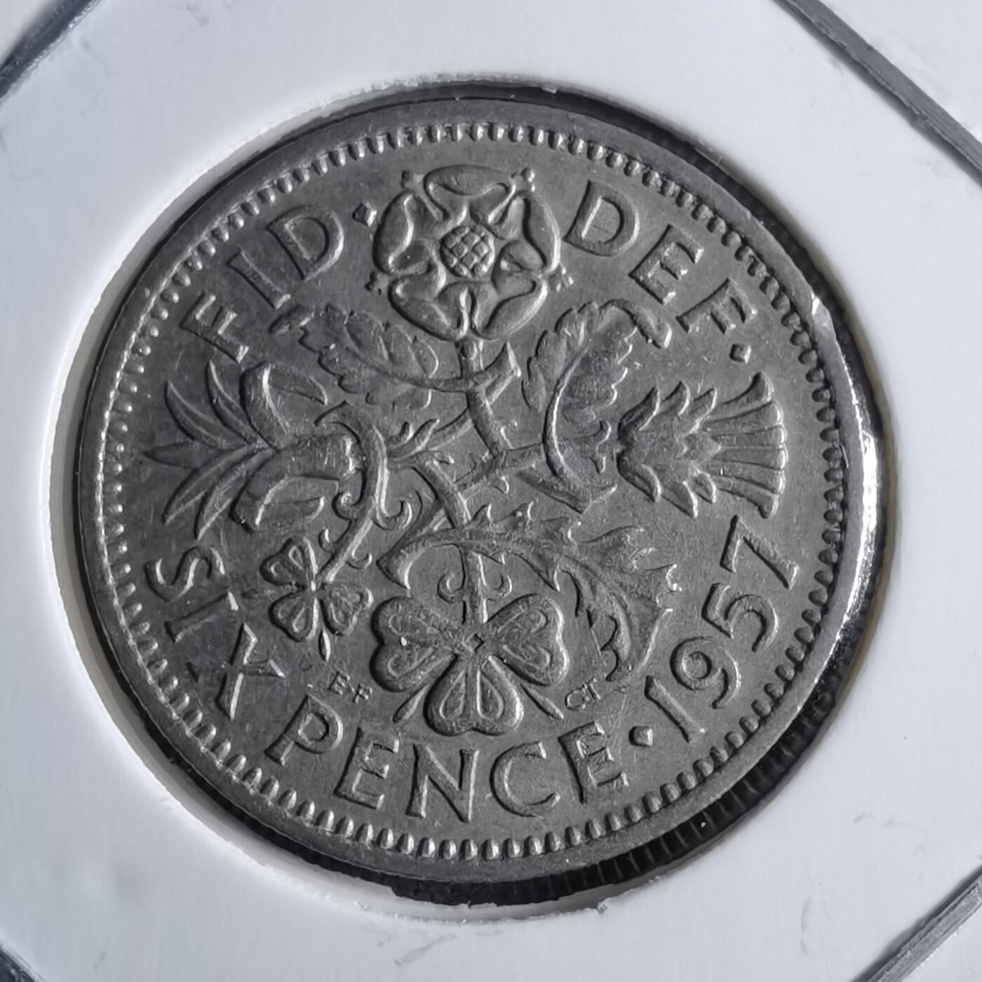 沼泽如烟--第891场