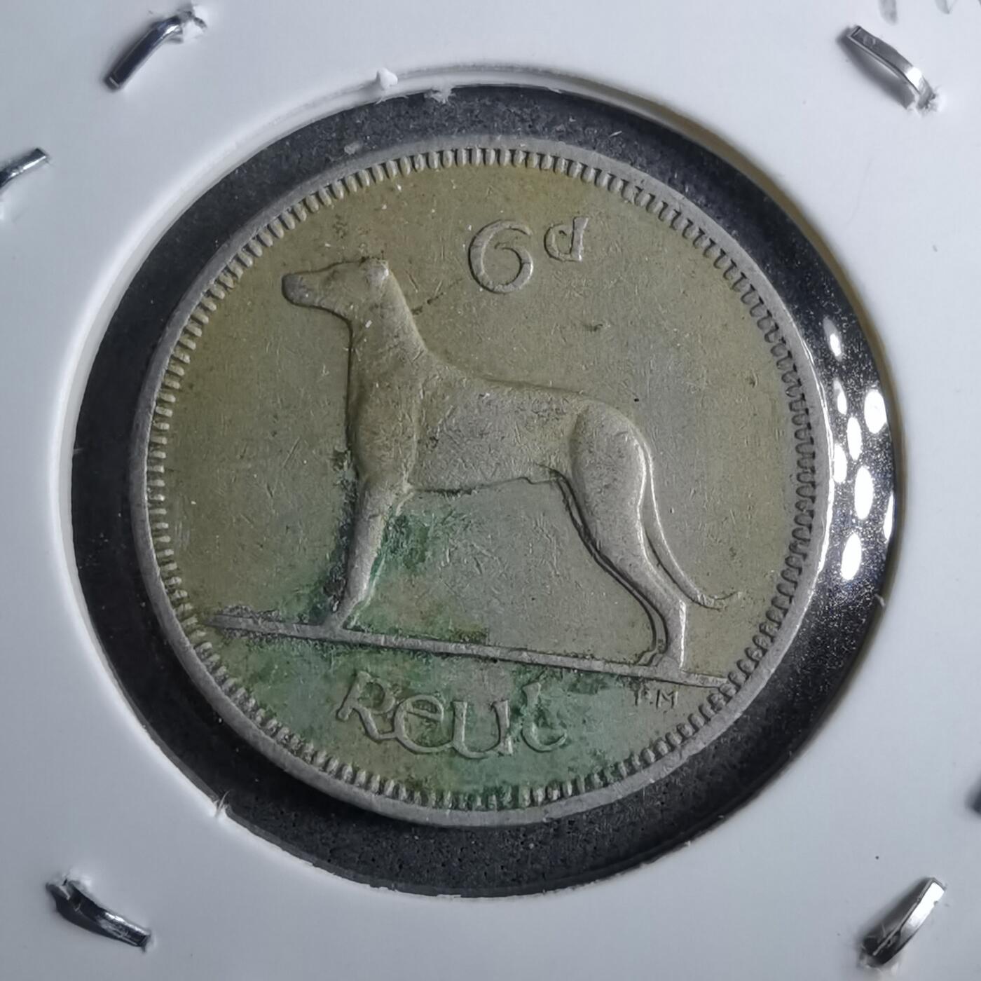 沼泽如烟--第891场