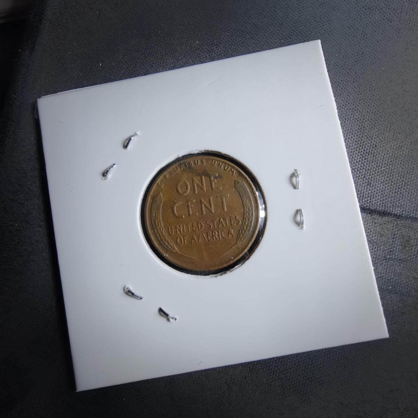 沼泽如烟--第891场