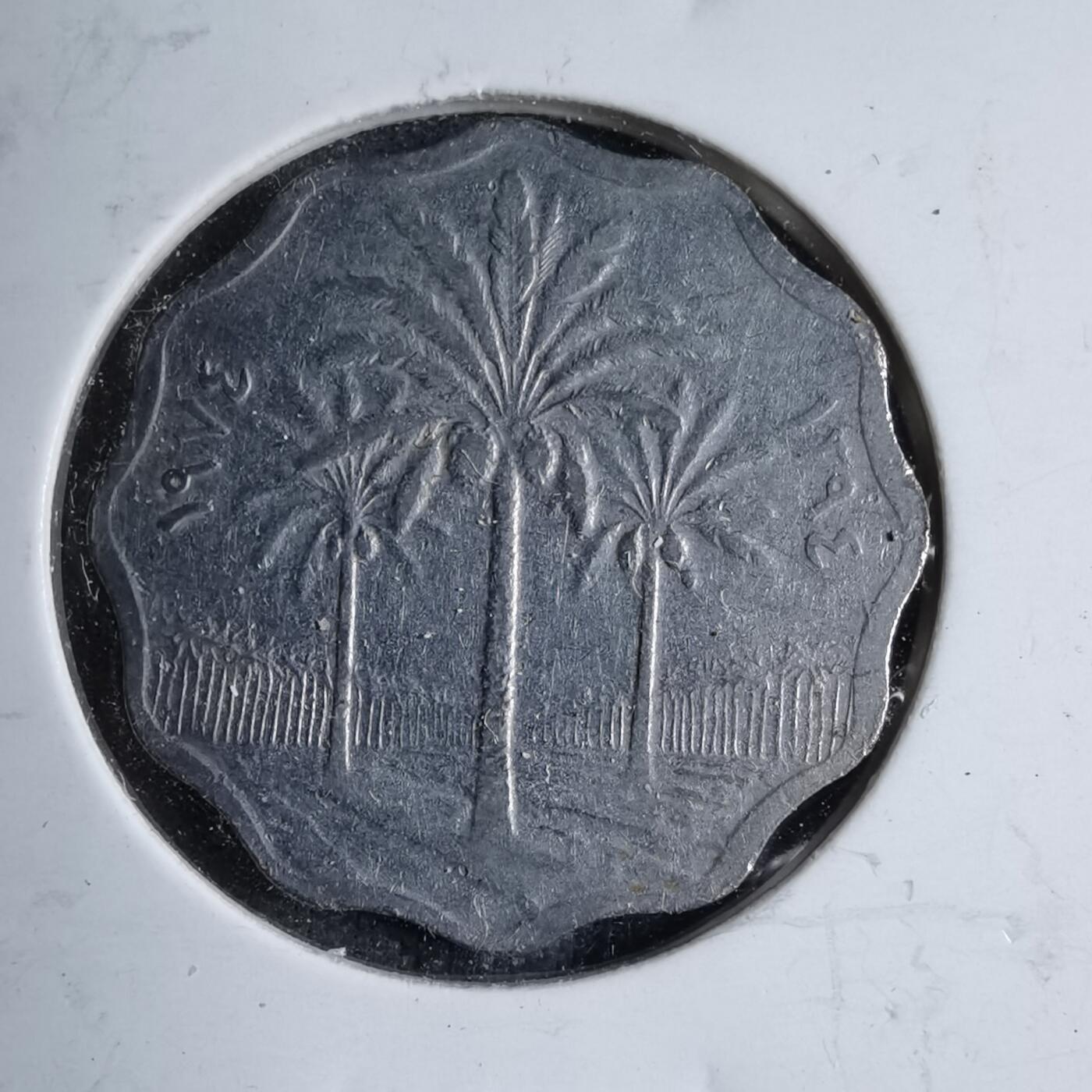 沼泽如烟--第890场 伊拉克