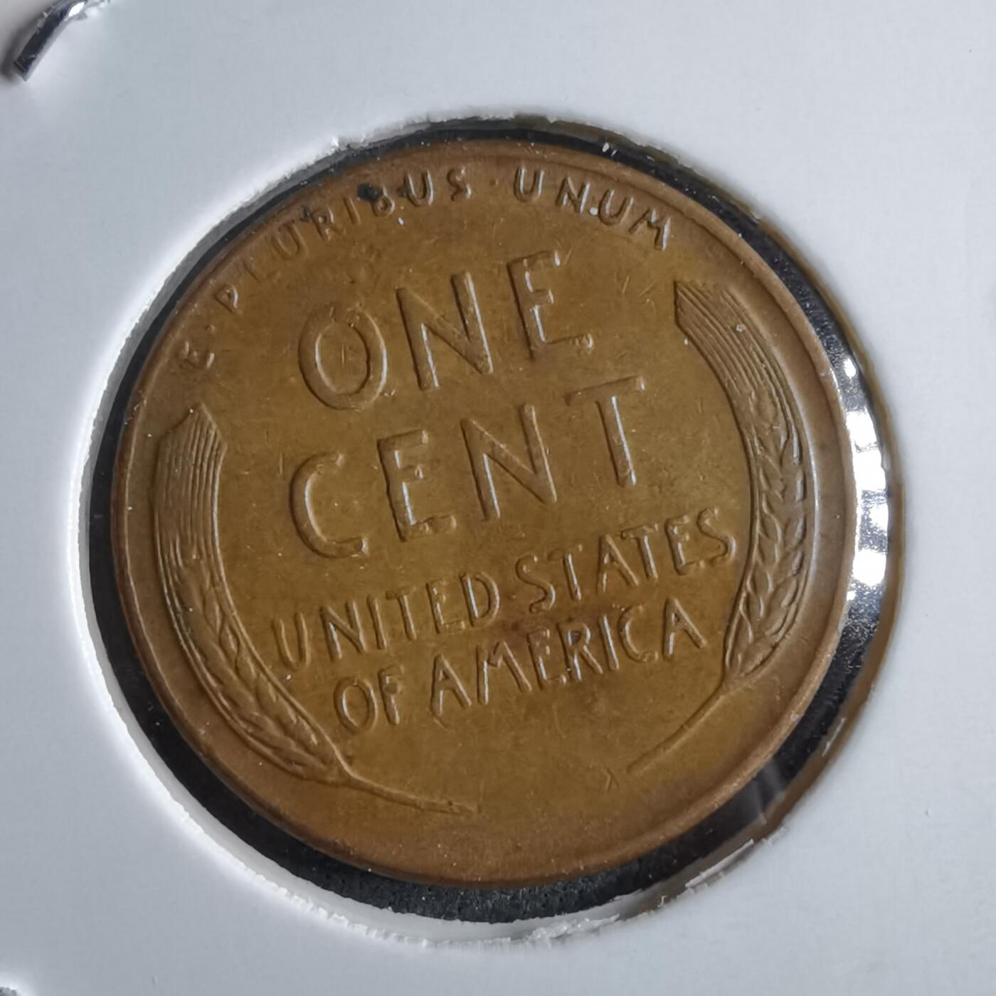 沼泽如烟--第891场