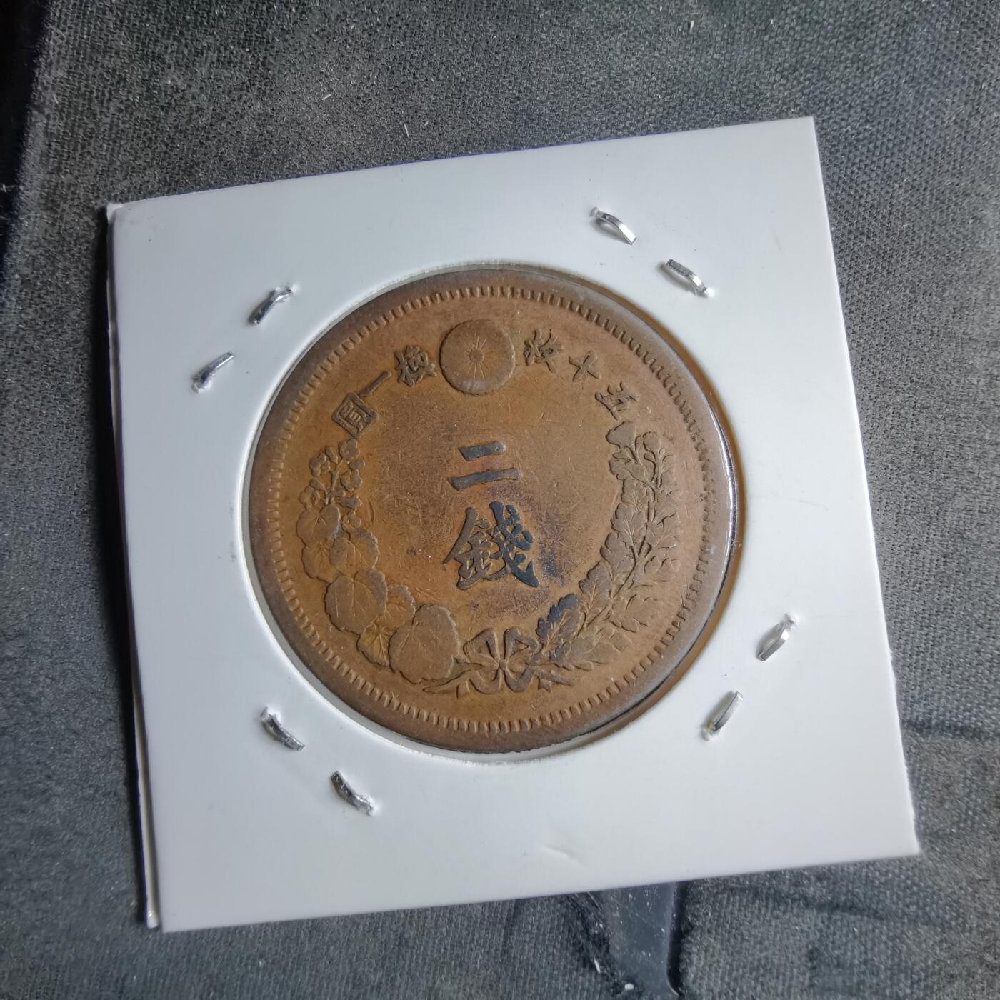 沼泽如烟--第891场