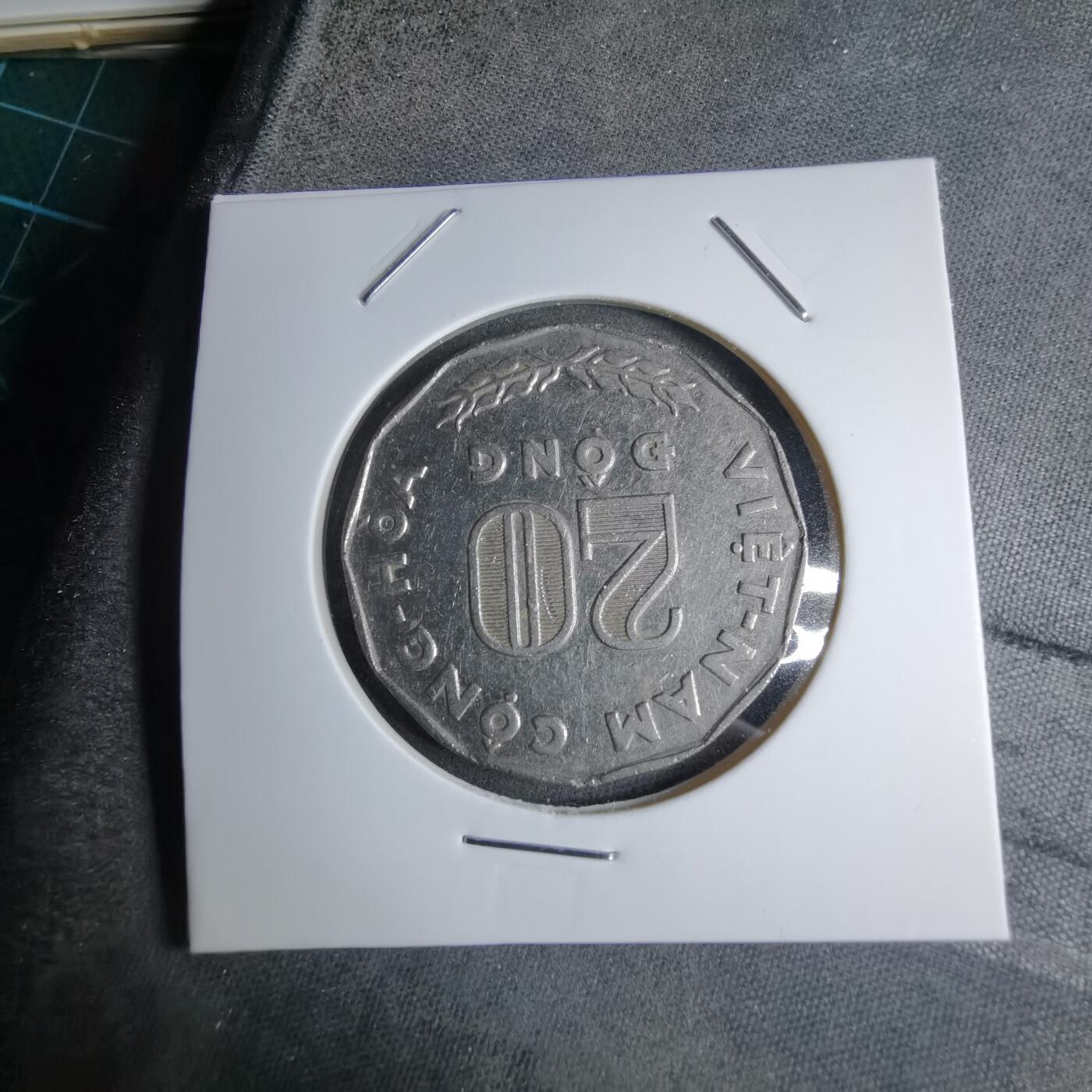 沼泽如烟--第890场