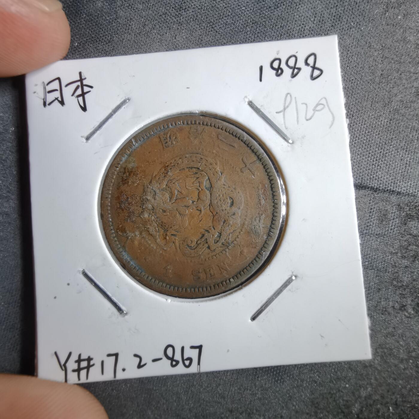 沼泽如烟--第891场