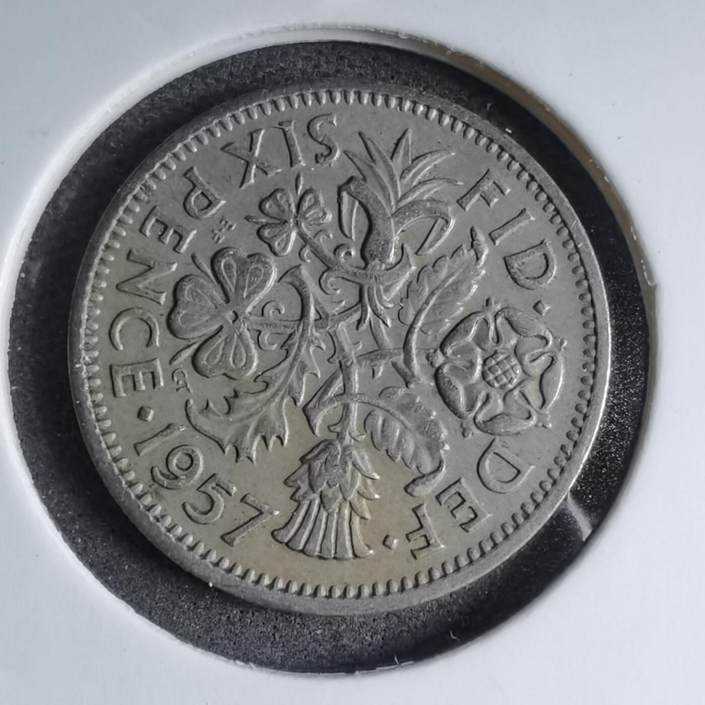 沼泽如烟--第890场