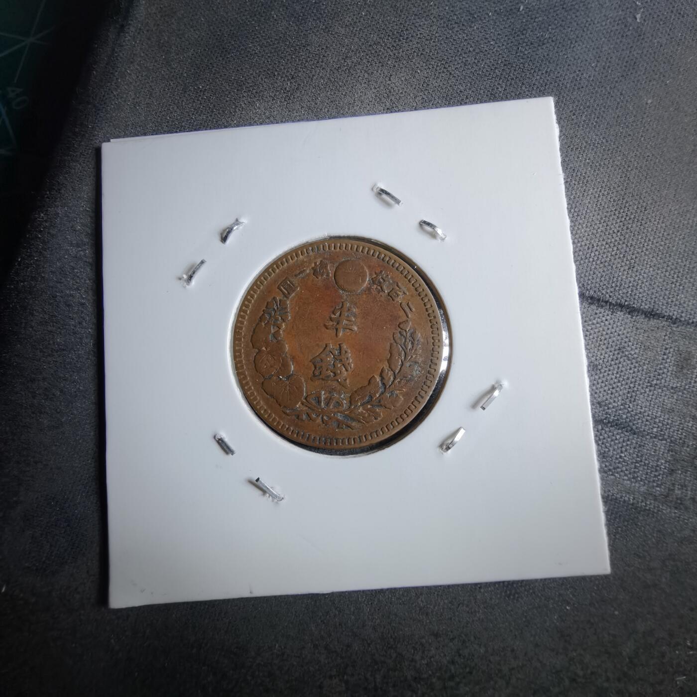 沼泽如烟--第891场