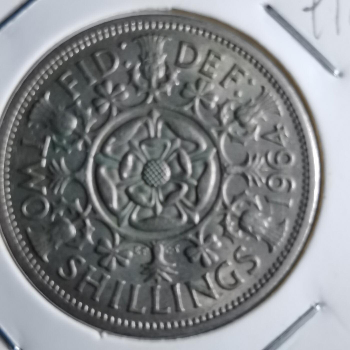 沼泽如烟--第891场