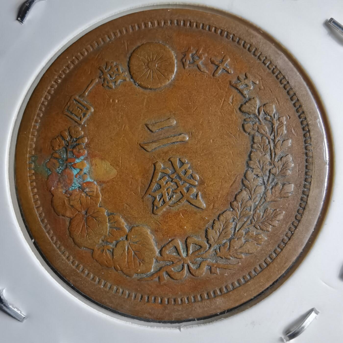 沼泽如烟--第891场