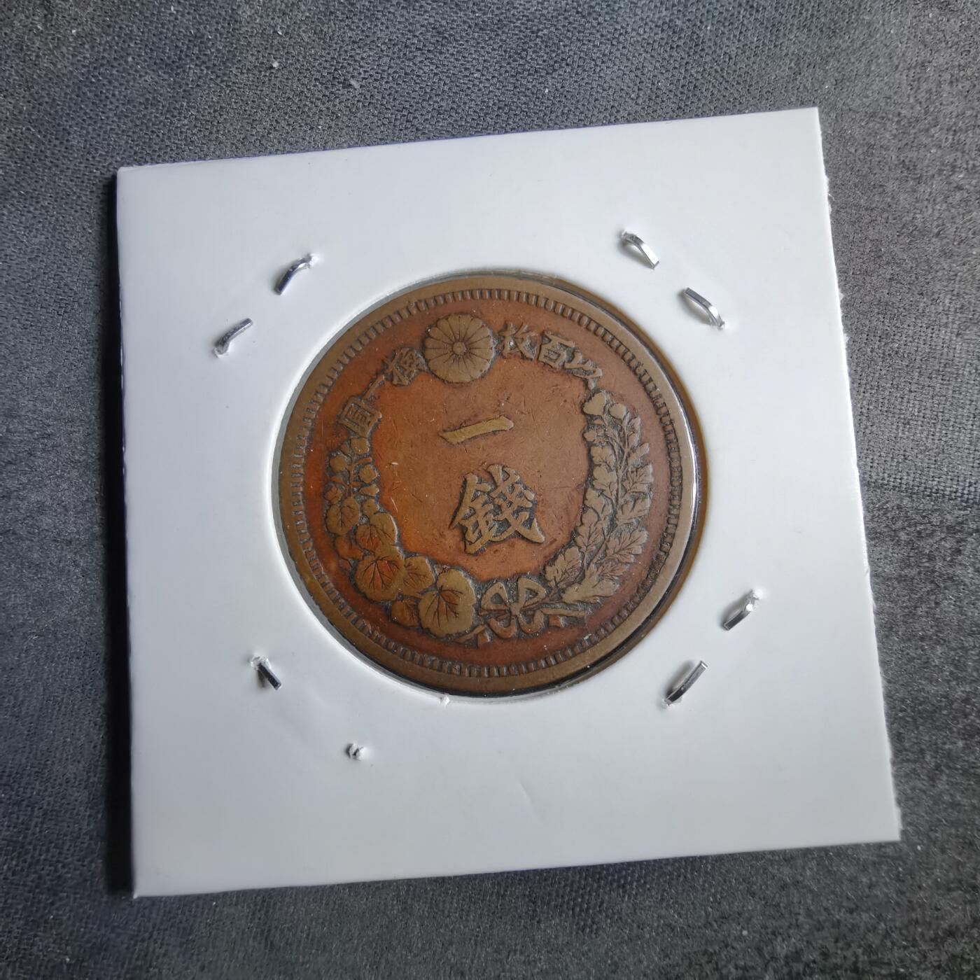 沼泽如烟--第891场