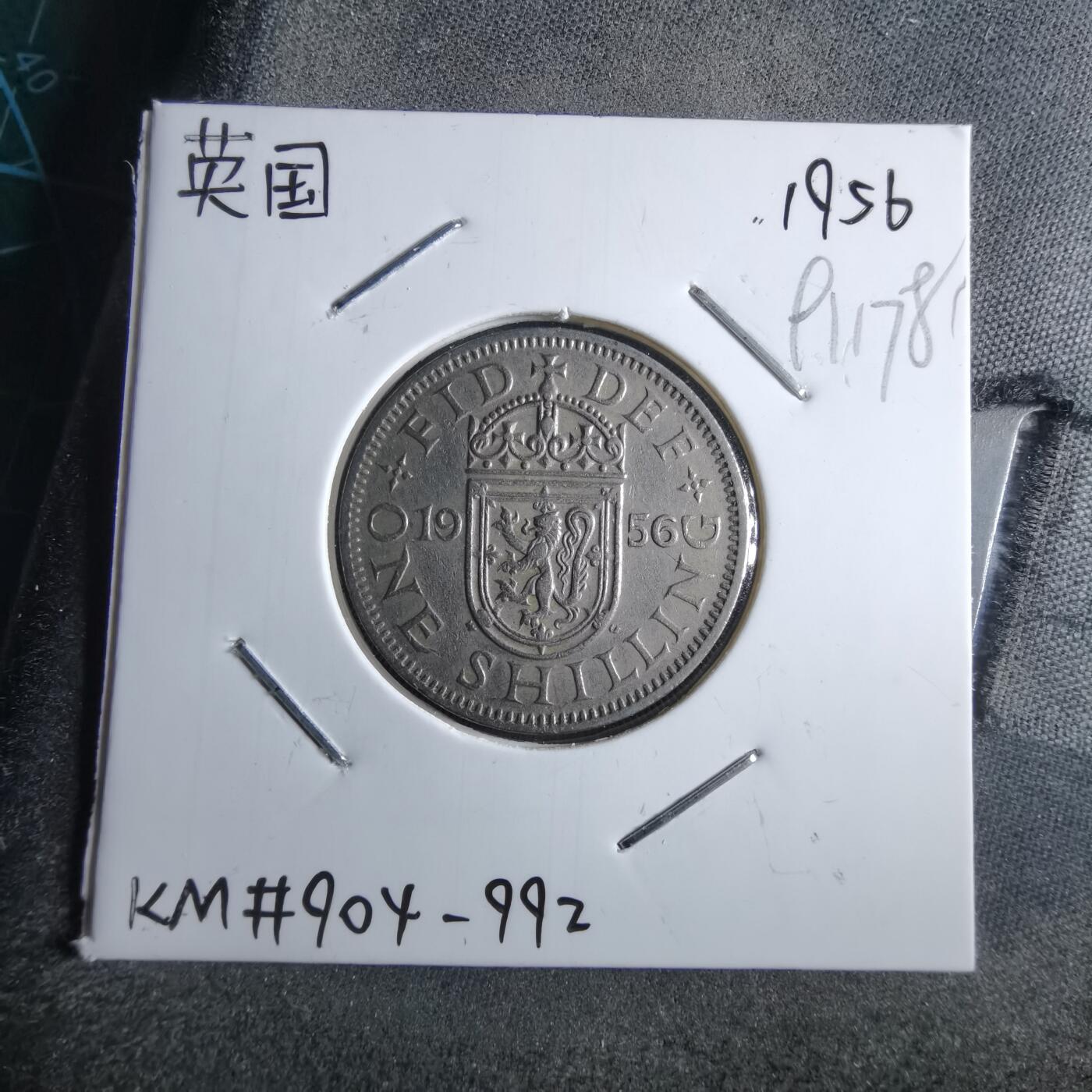 沼泽如烟--第891场