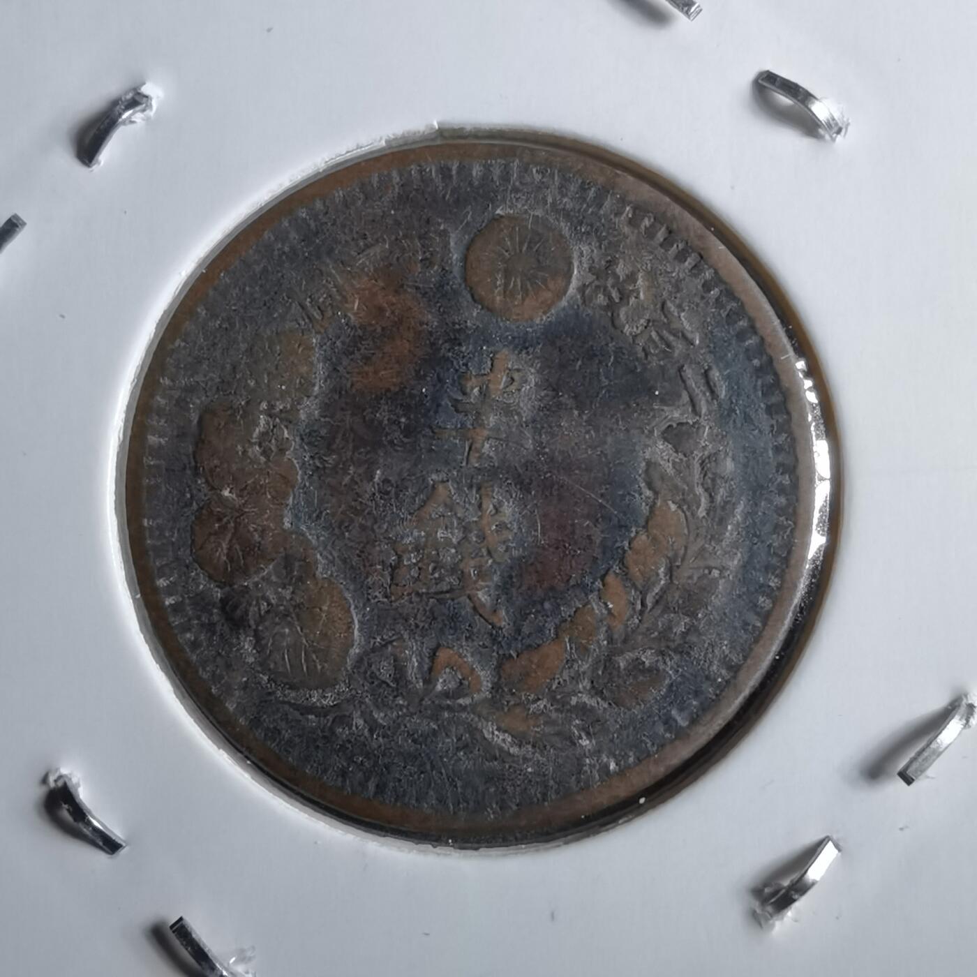 沼泽如烟--第891场