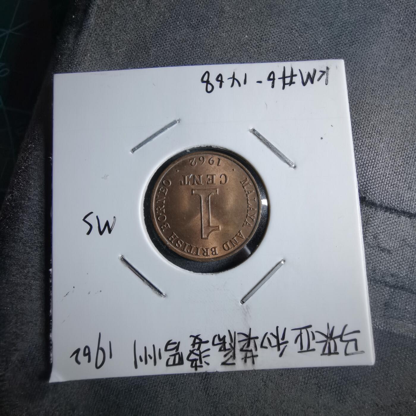 沼泽如烟--第891场