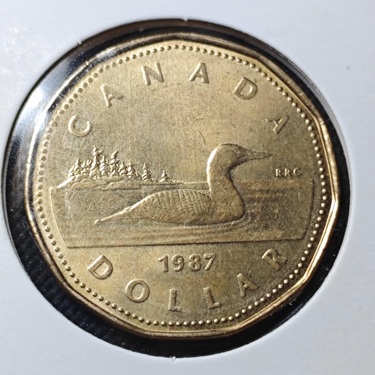 KK钱币收藏小铺  第364场  2月预留时间 周末发货  加拿大1元 好品