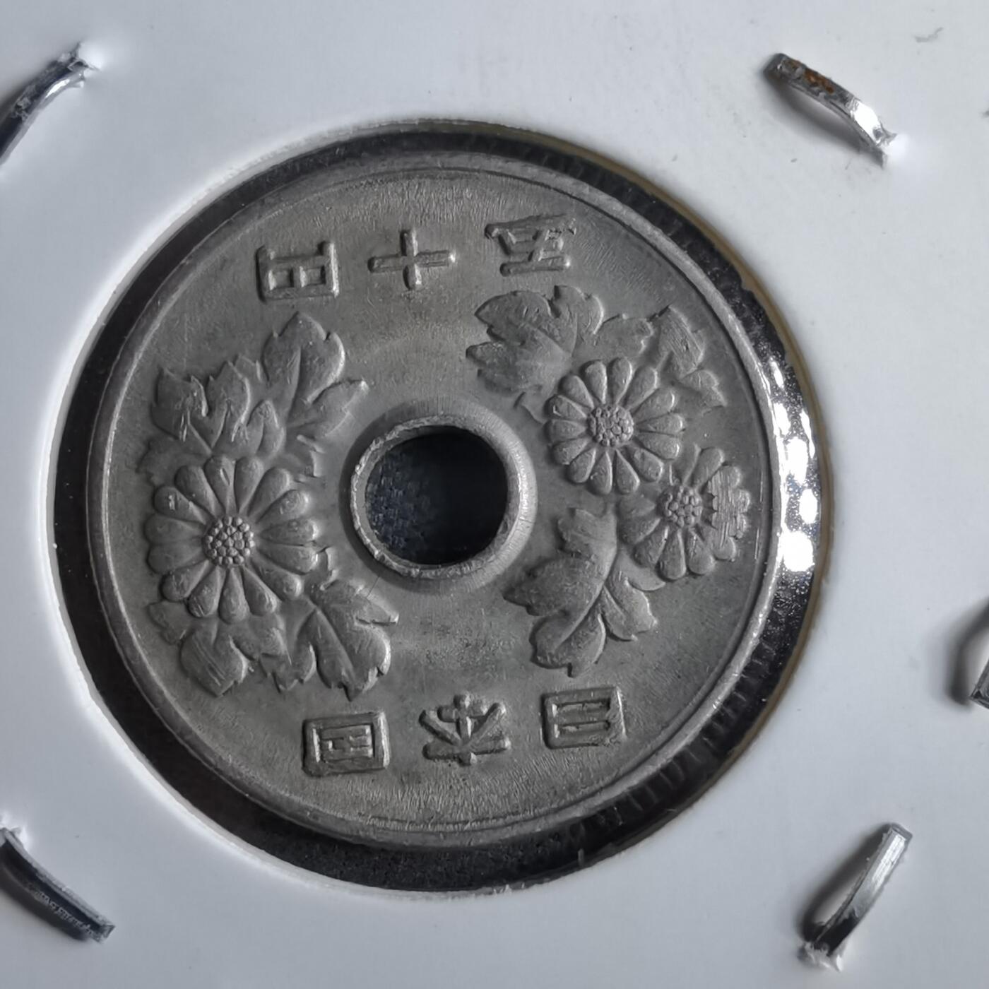 沼泽如烟--第891场