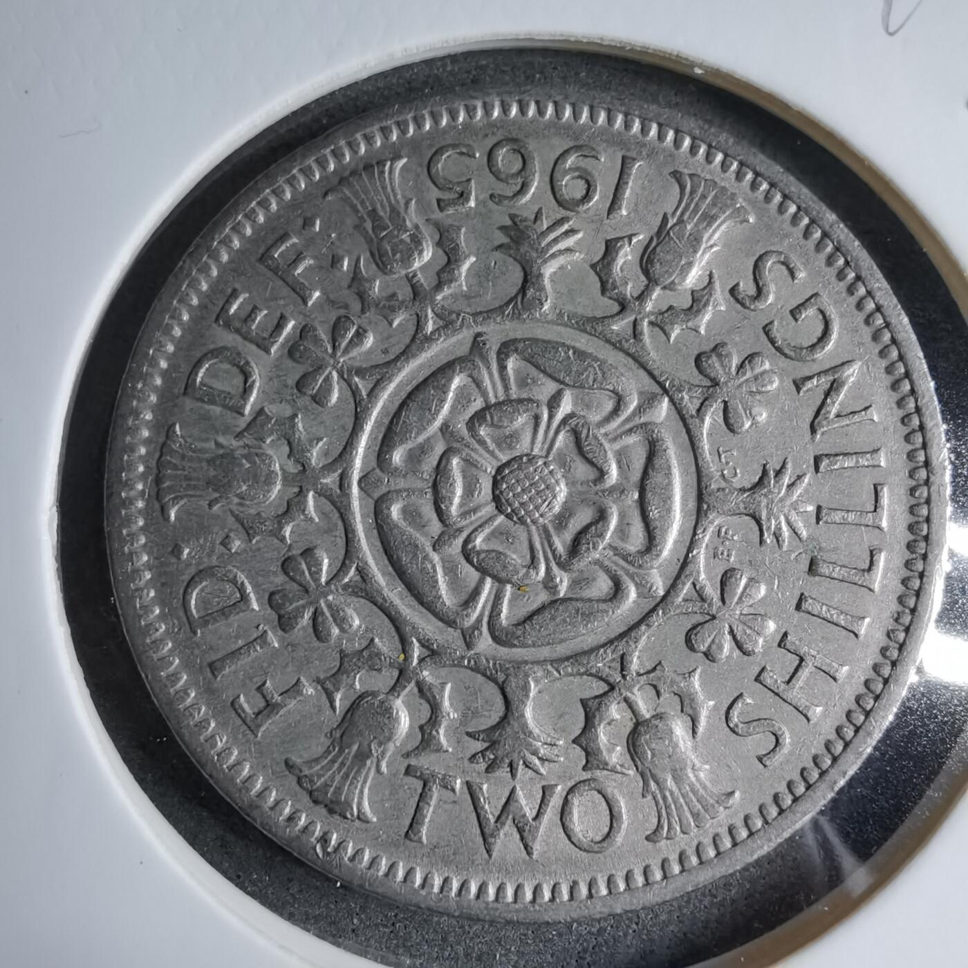 沼泽如烟--第890场