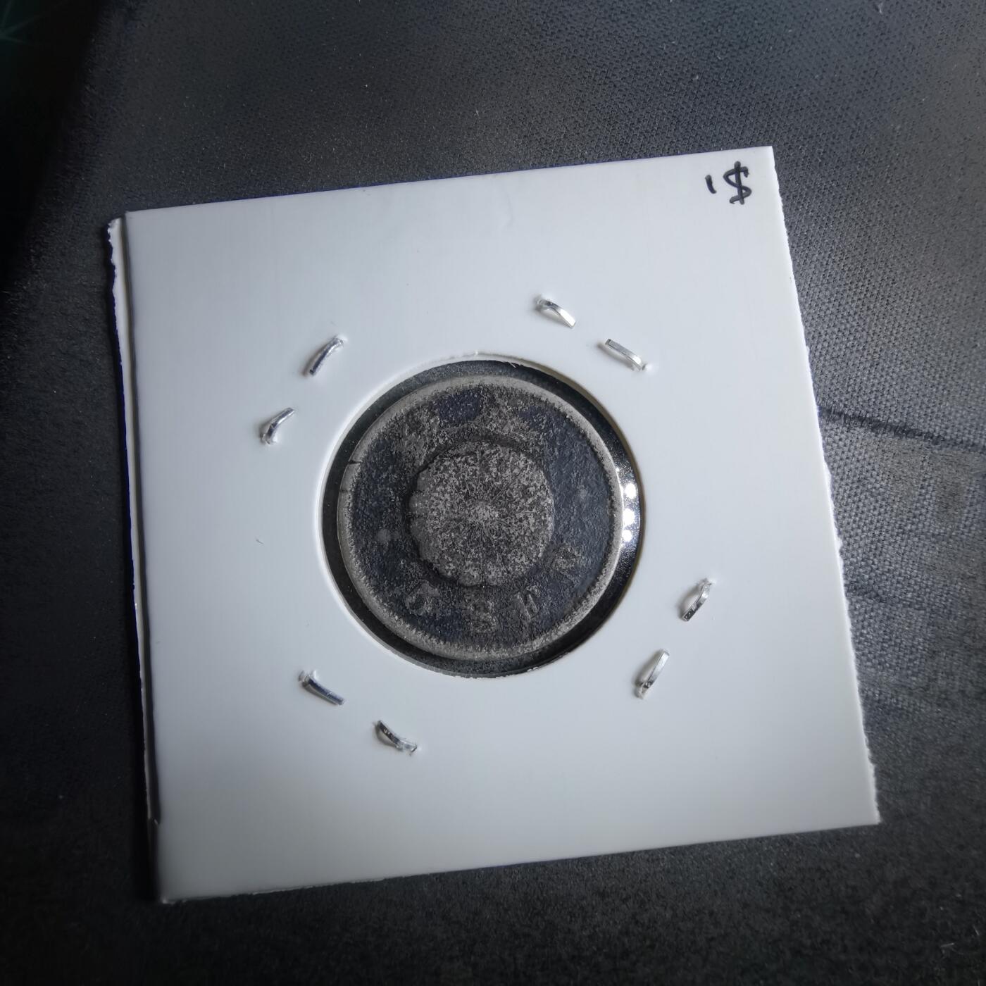 沼泽如烟--第891场