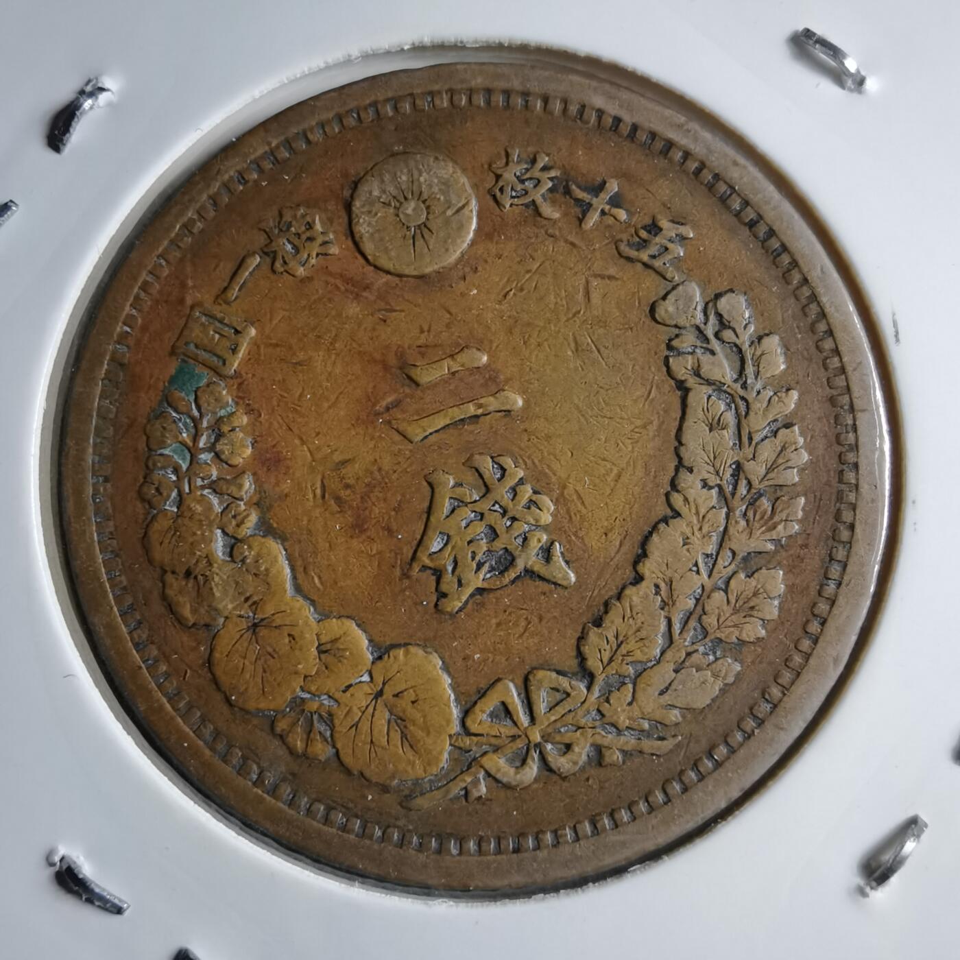 沼泽如烟--第891场