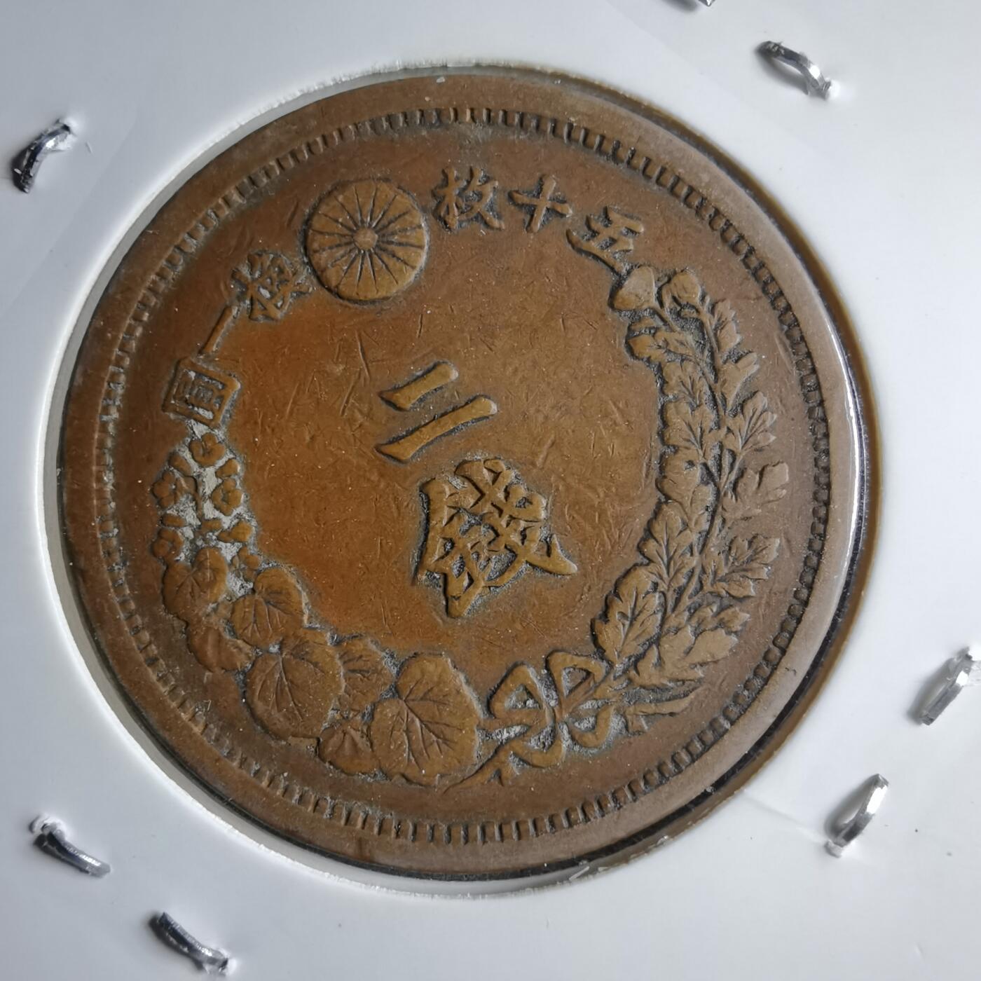 沼泽如烟--第891场