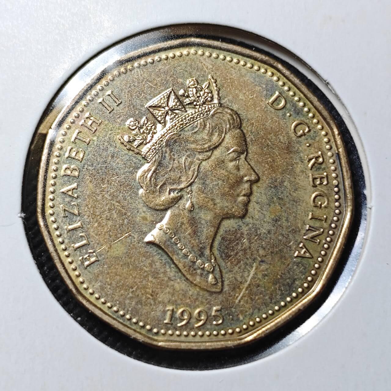 KK钱币收藏小铺  第364场  2月预留时间 周末发货  加拿大1元纪念币