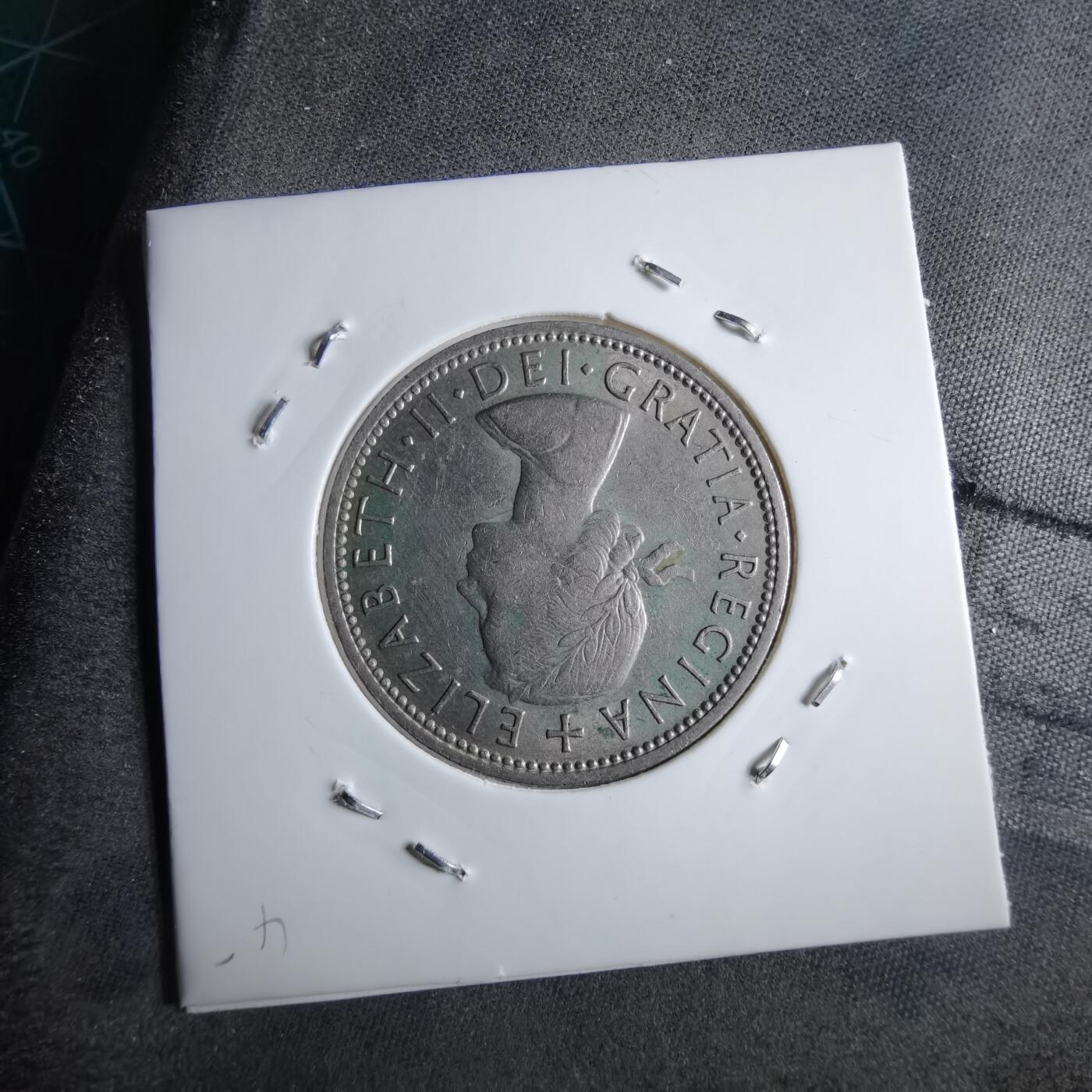 沼泽如烟--第891场