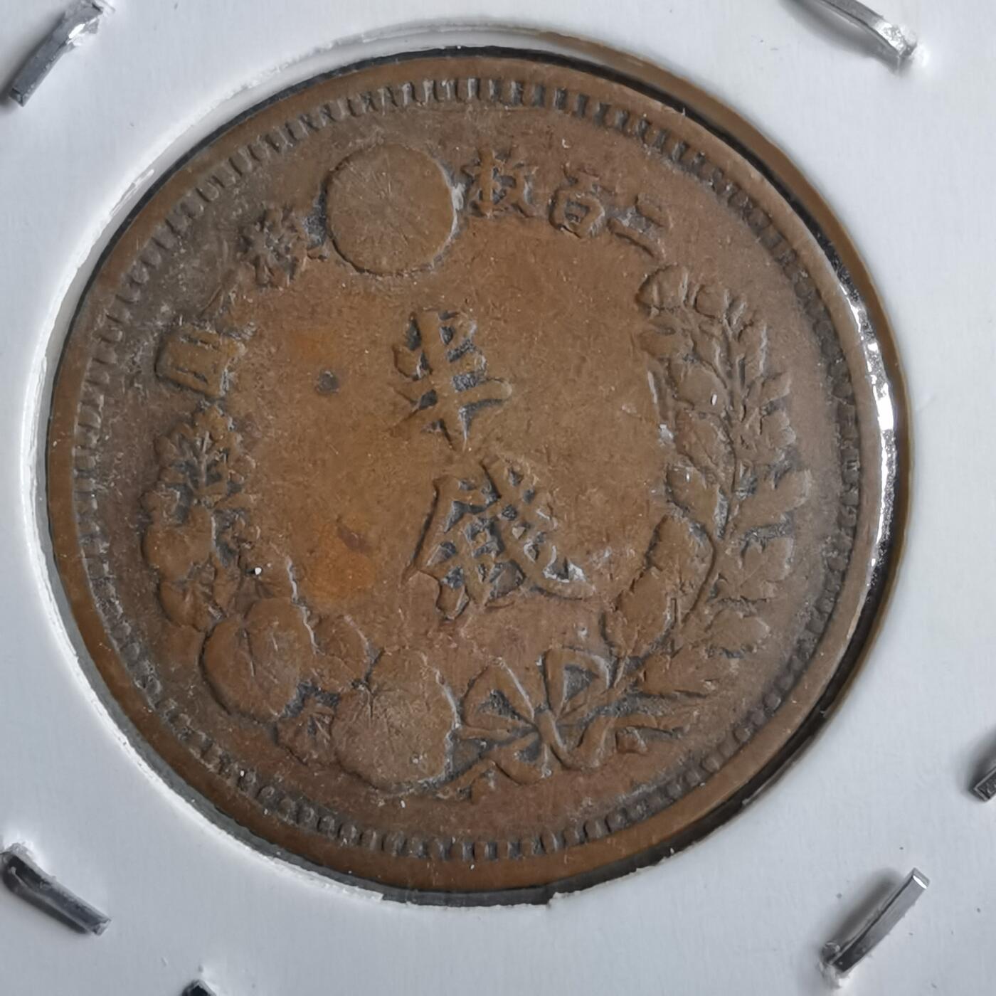 沼泽如烟--第891场