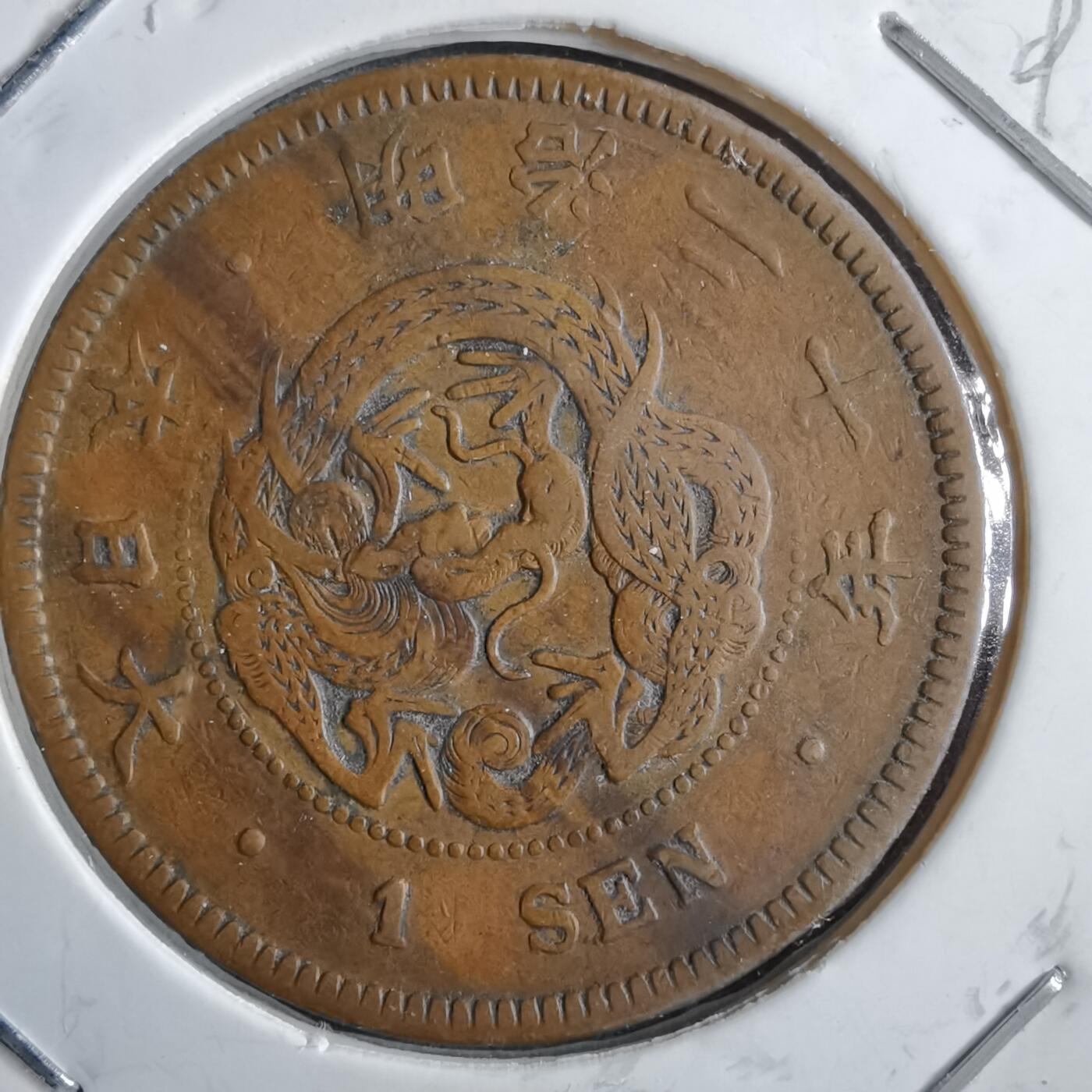 沼泽如烟--第891场