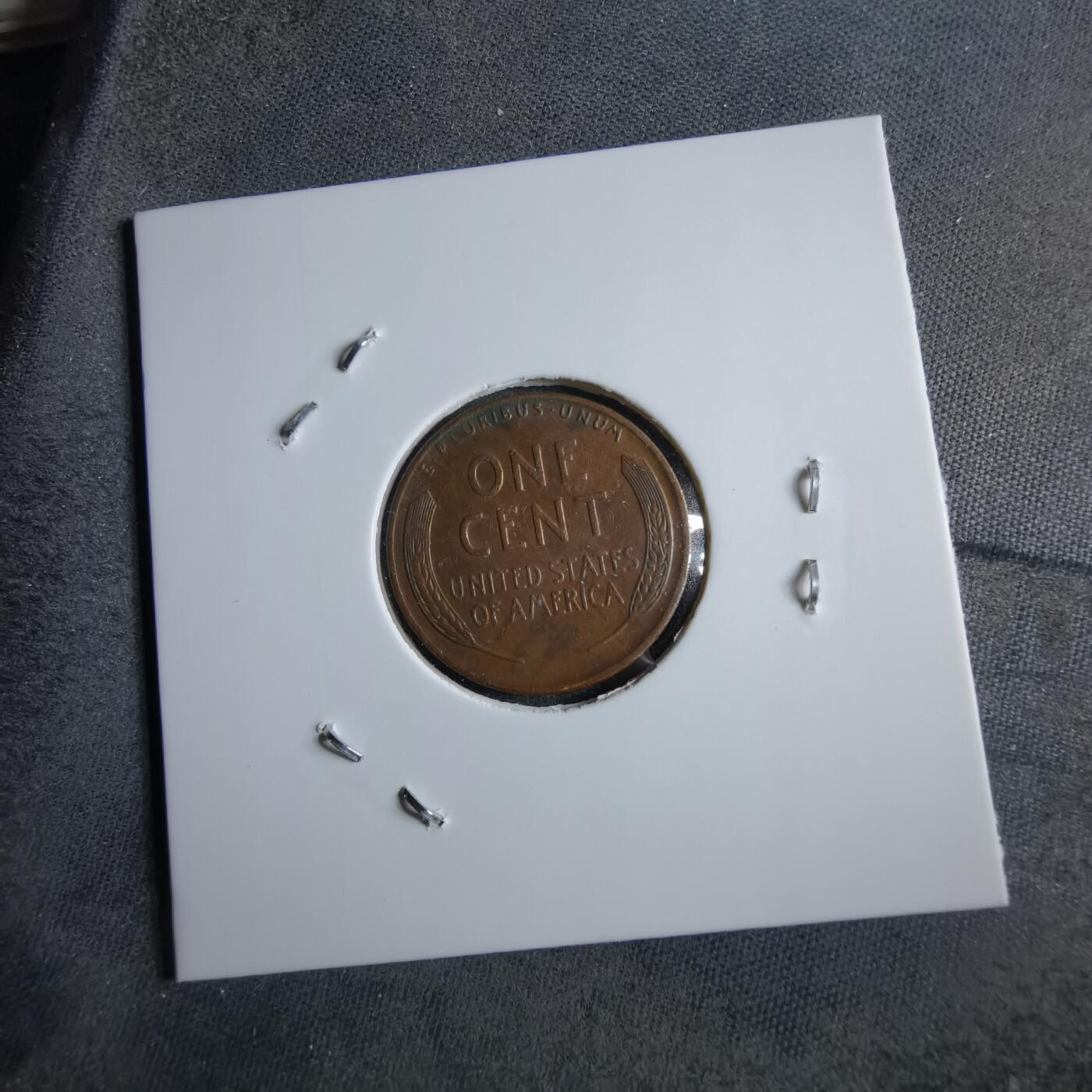 沼泽如烟--第891场