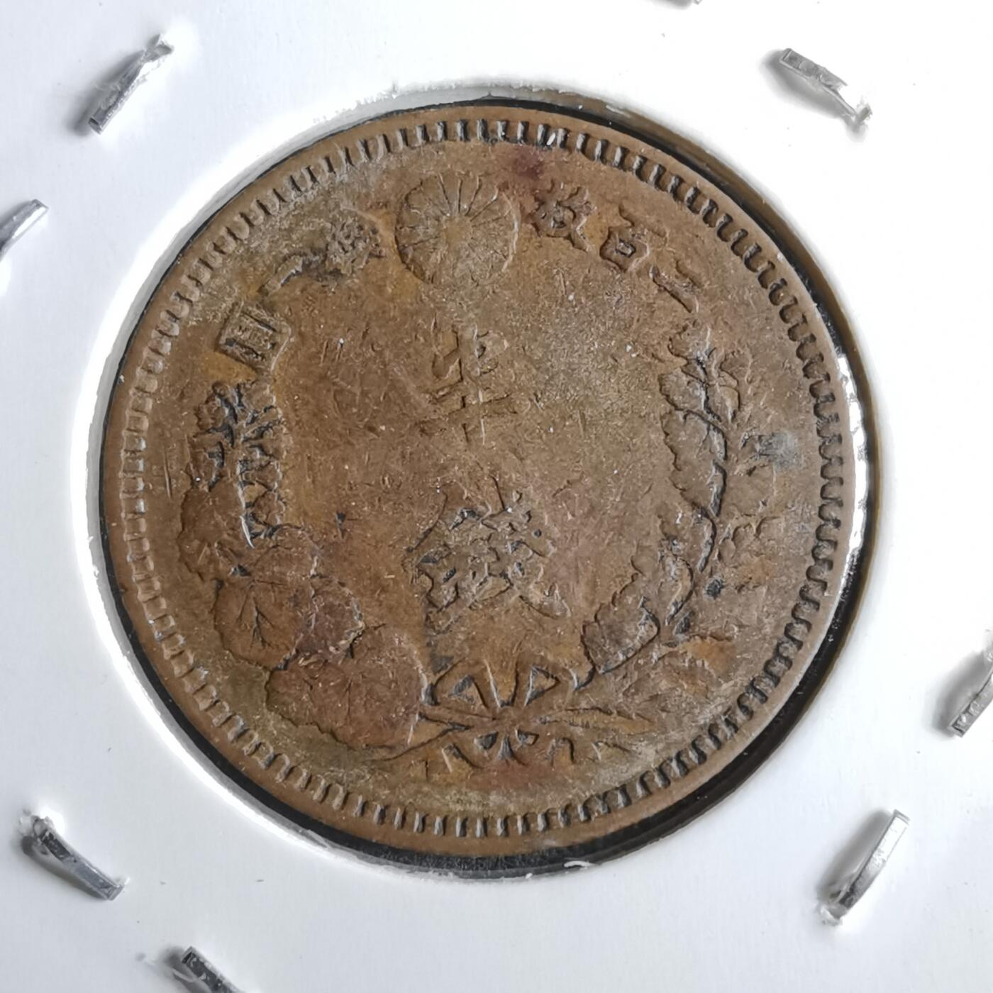 沼泽如烟--第891场