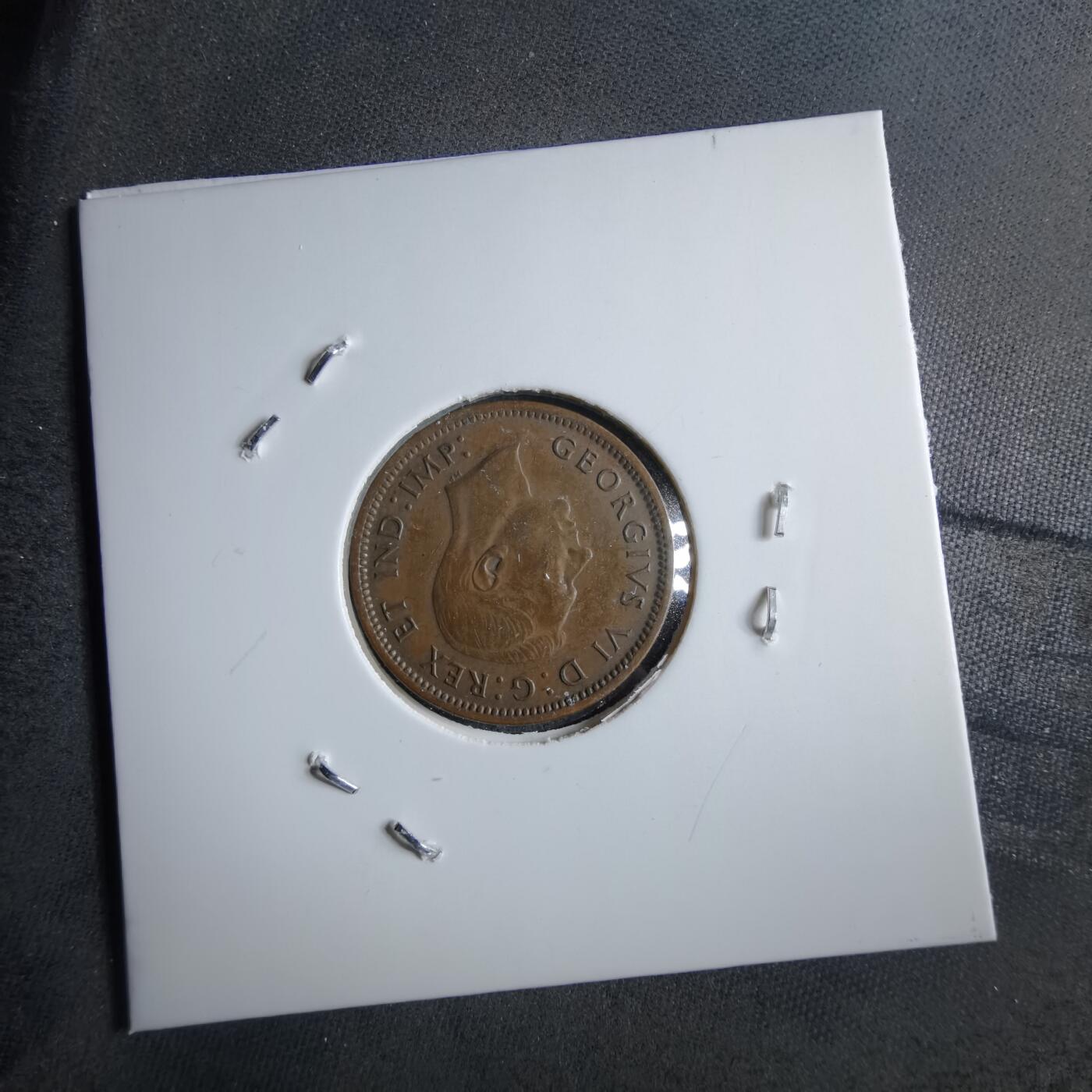 沼泽如烟--第891场